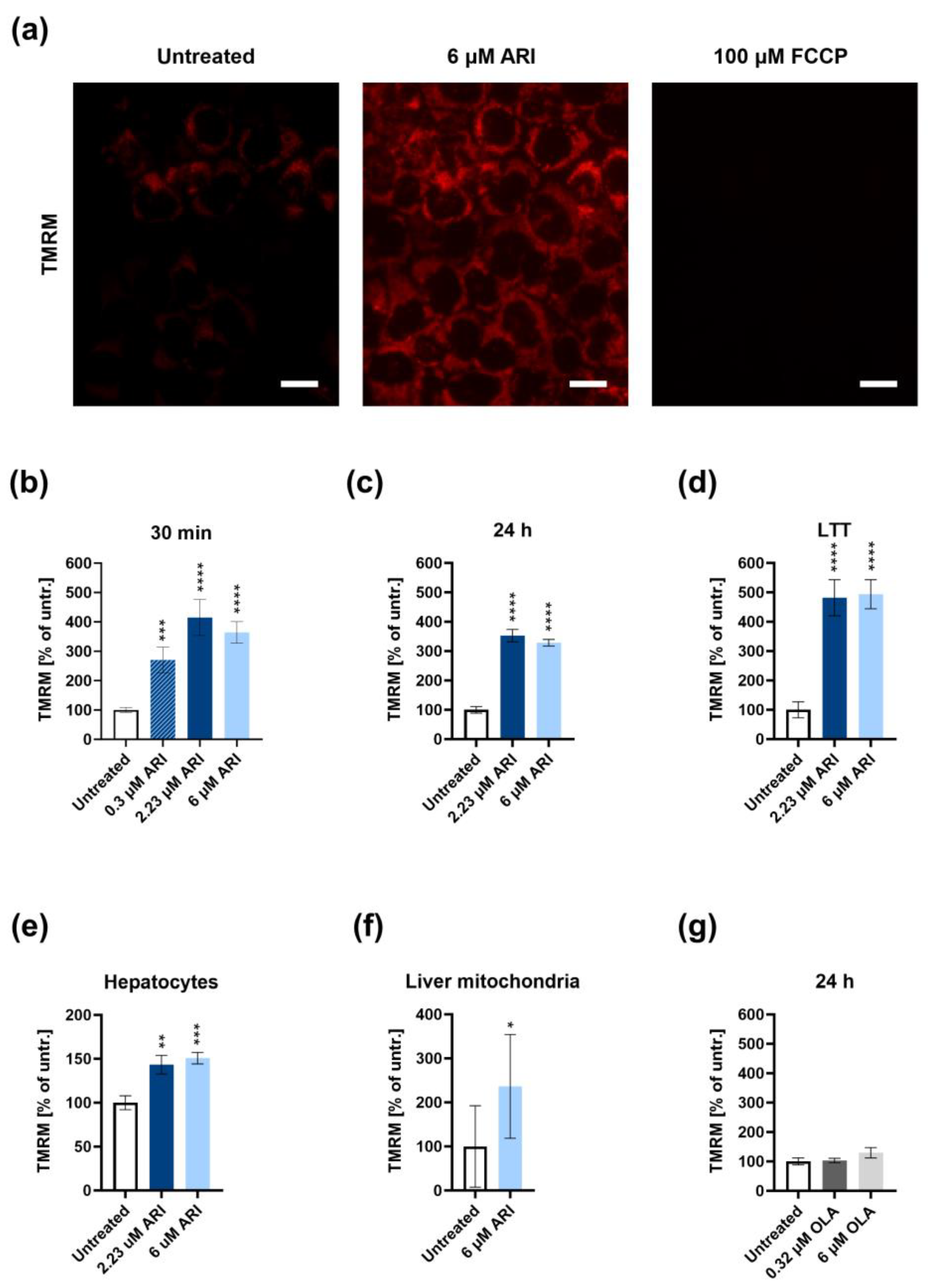 Antioxidants 12 01930 g001