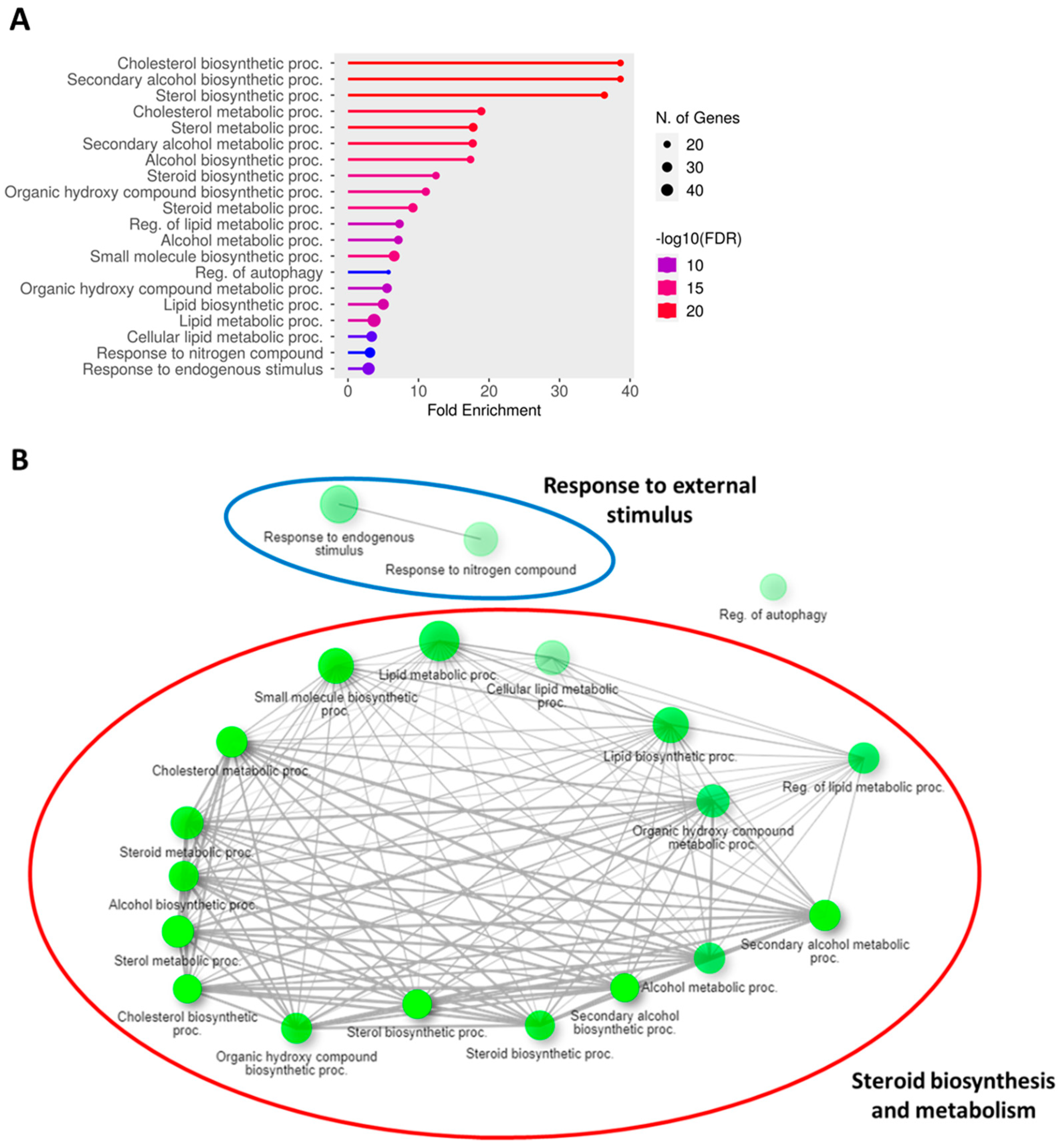 Antioxidants 12 01932 g003