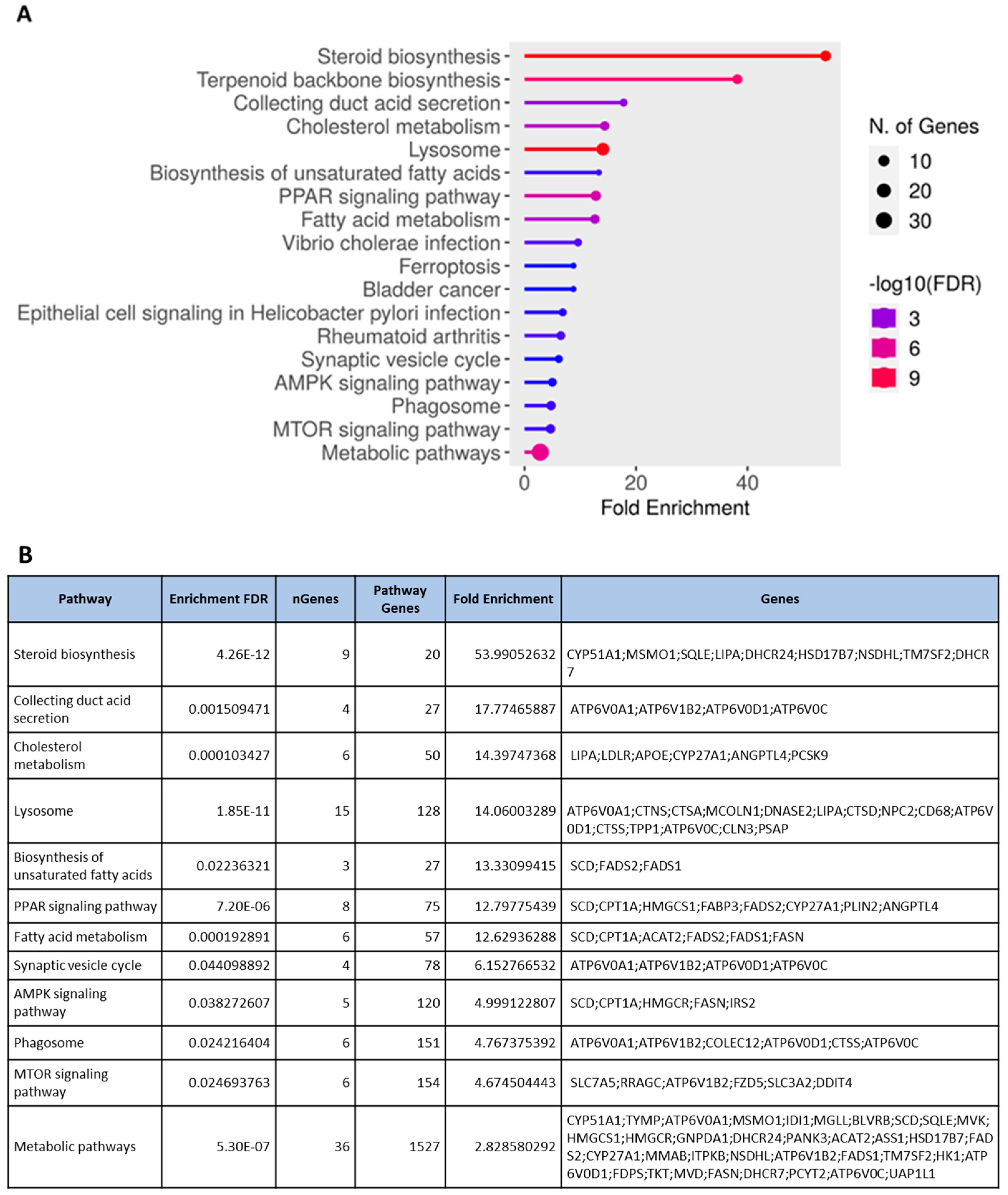 Antioxidants 12 01932 g004