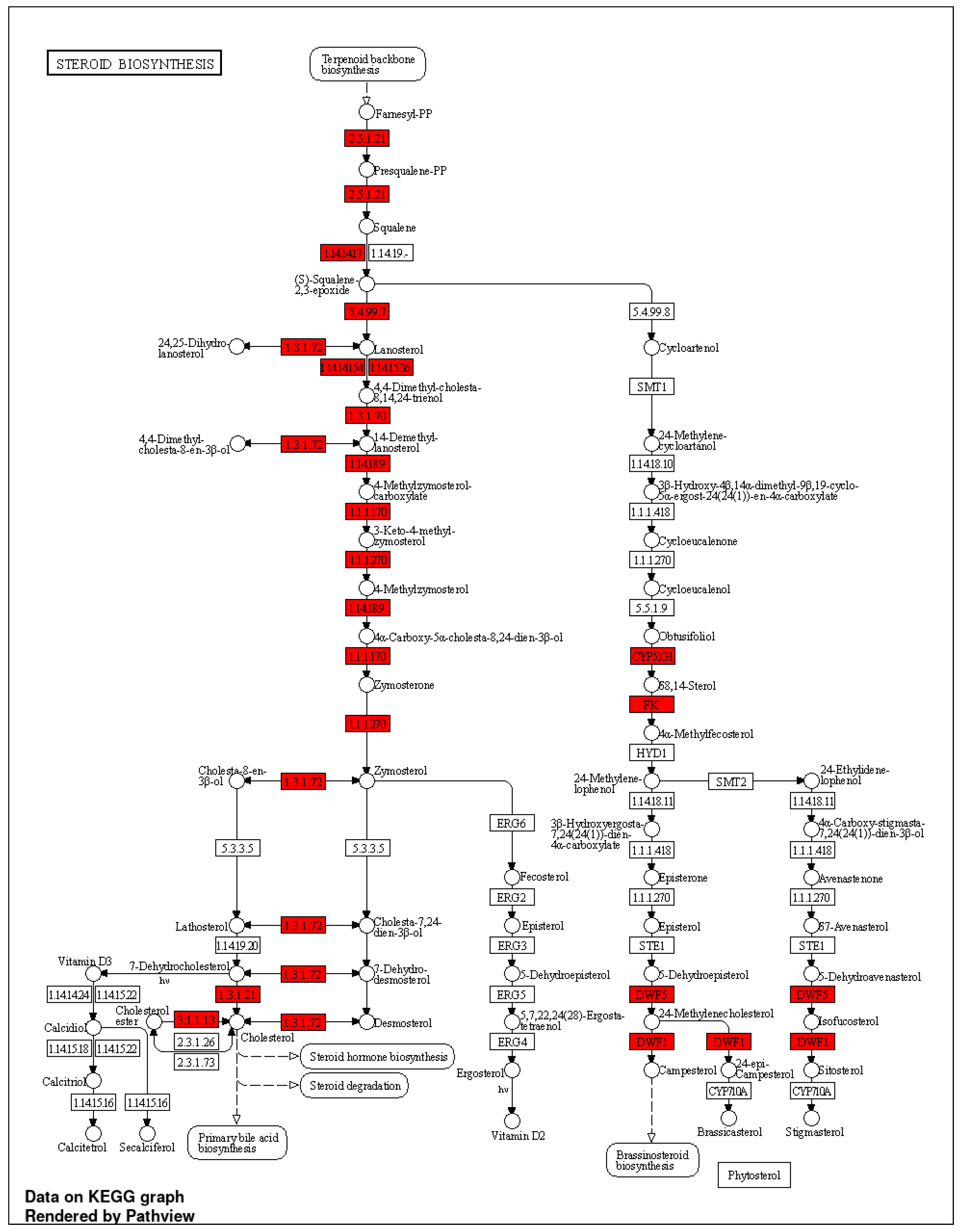 Antioxidants 12 01932 g005