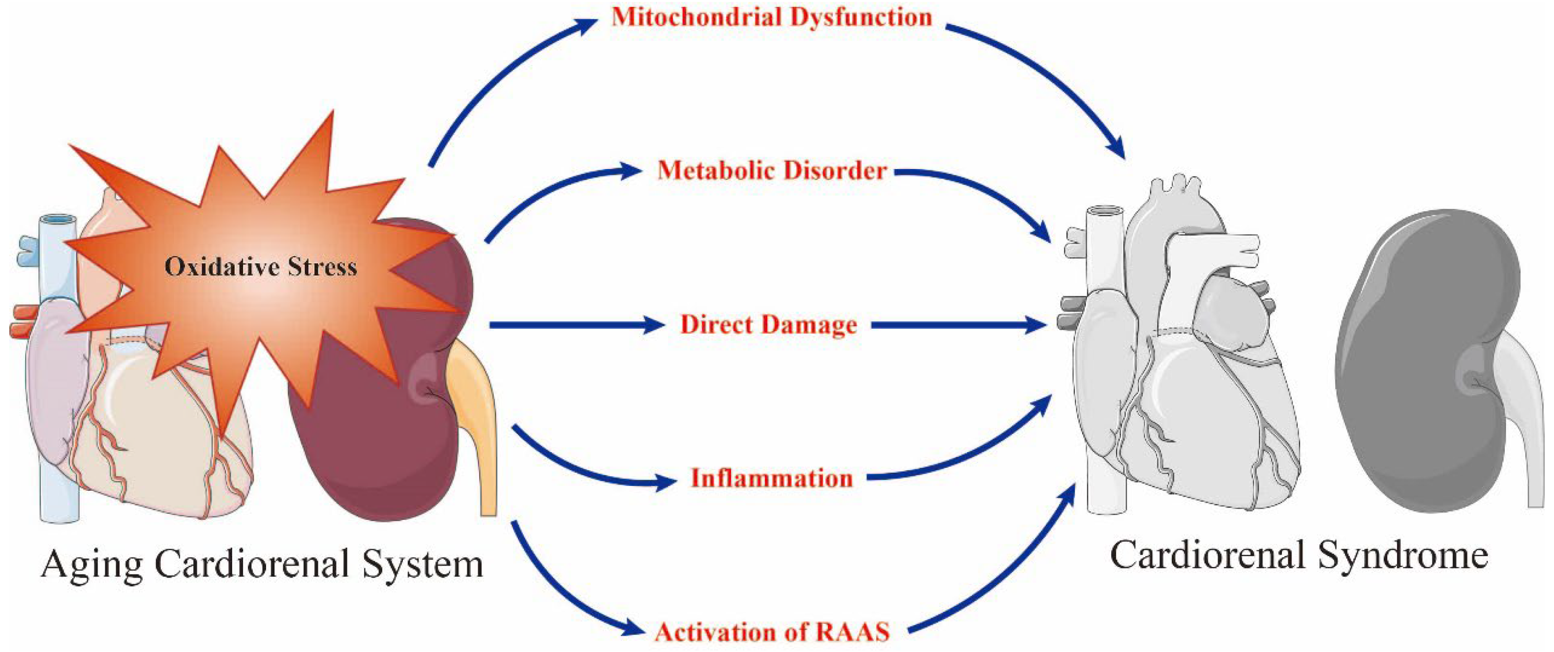 Antioxidants 12 01933 g001