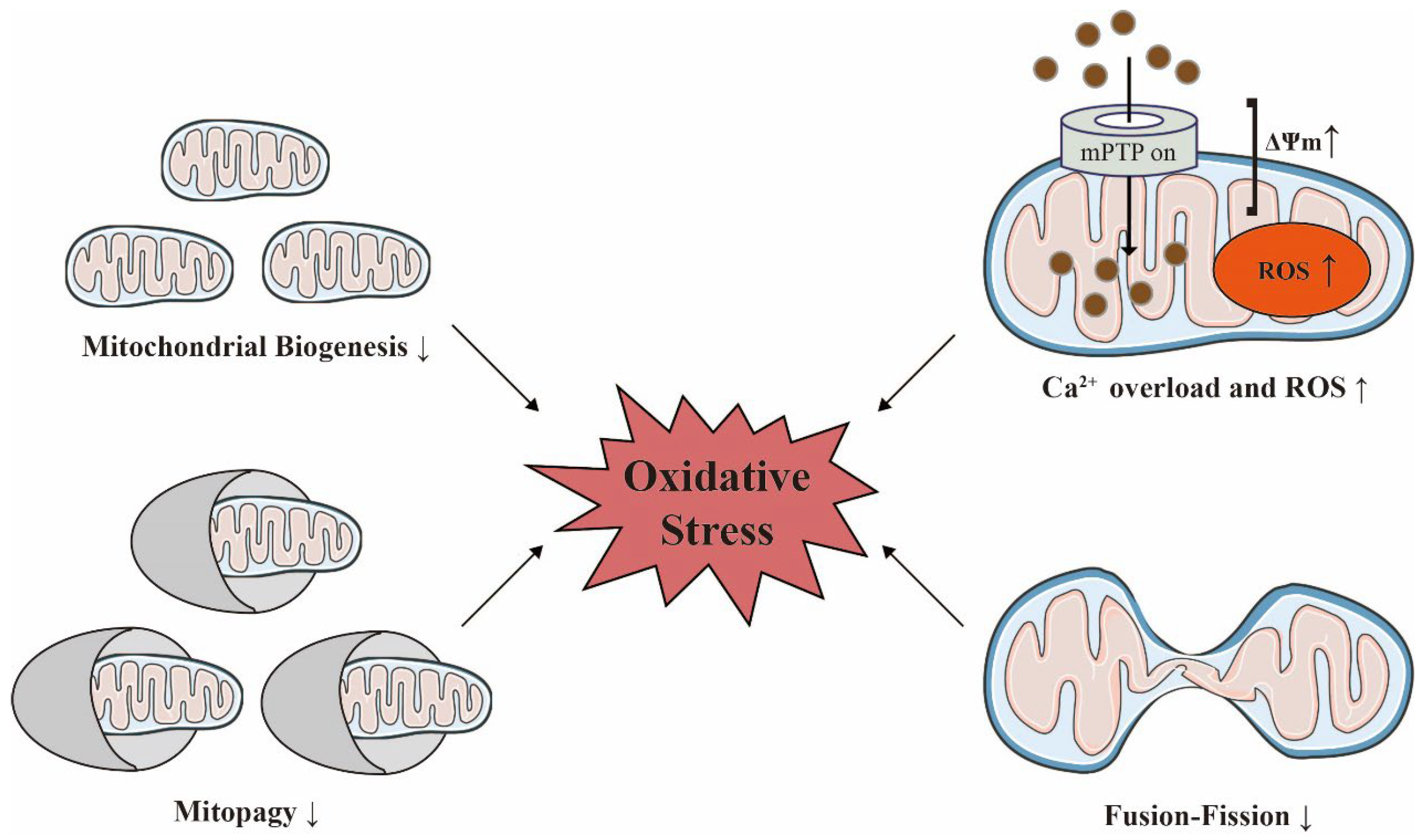 Antioxidants 12 01933 g003