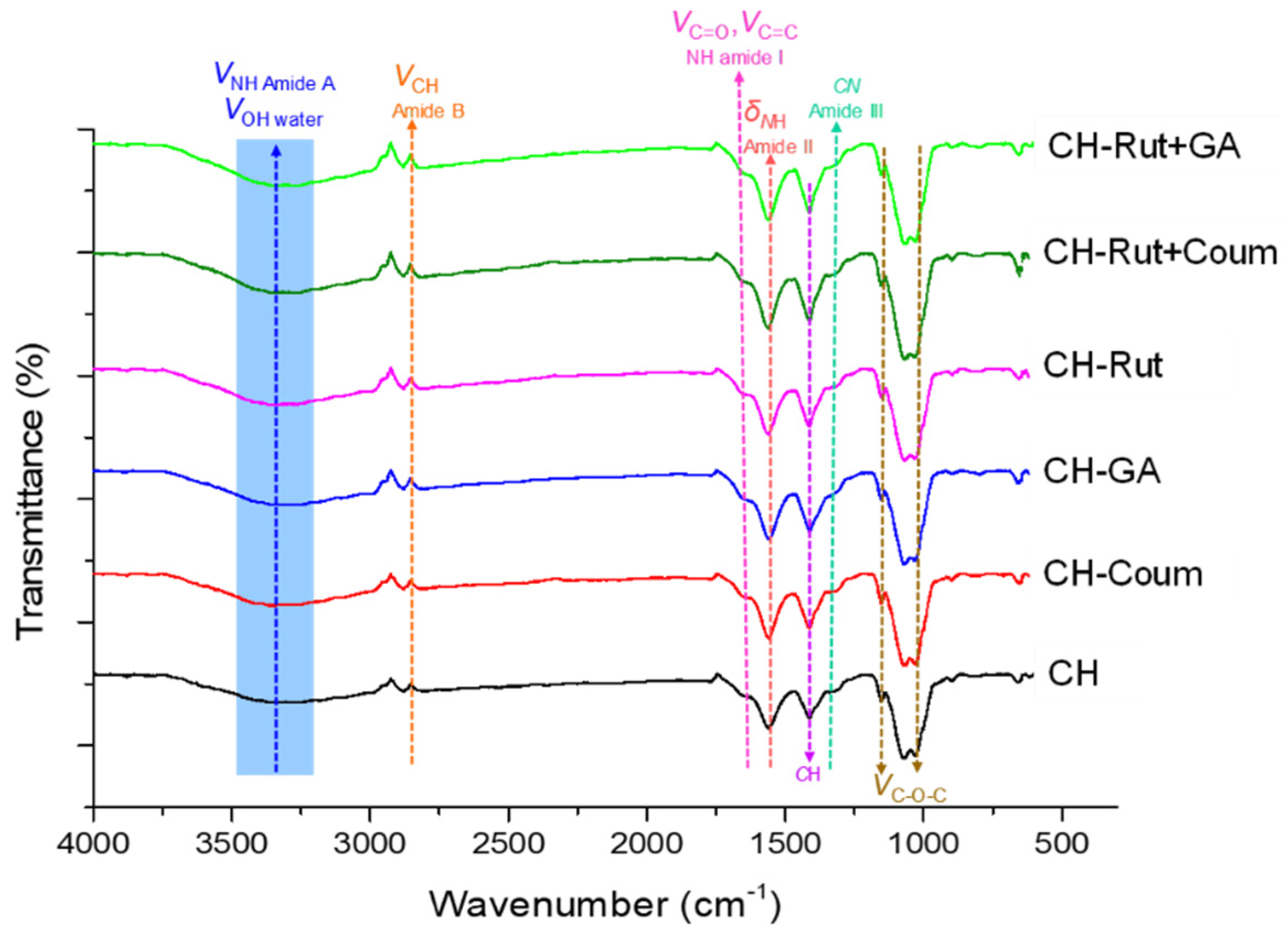 Antioxidants 12 01934 g002