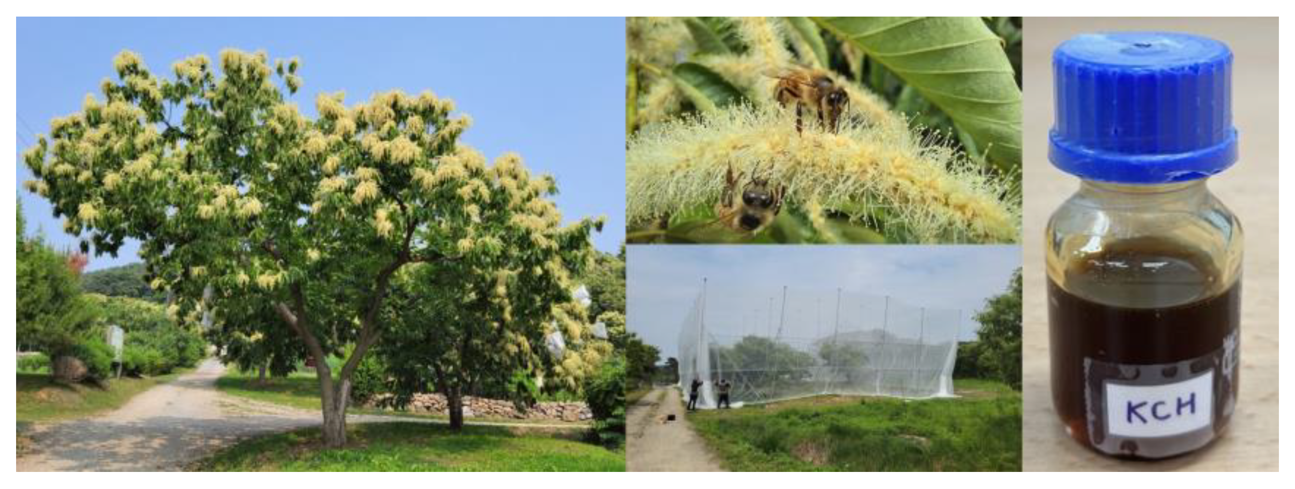 Antioxidants 12 01935 g001