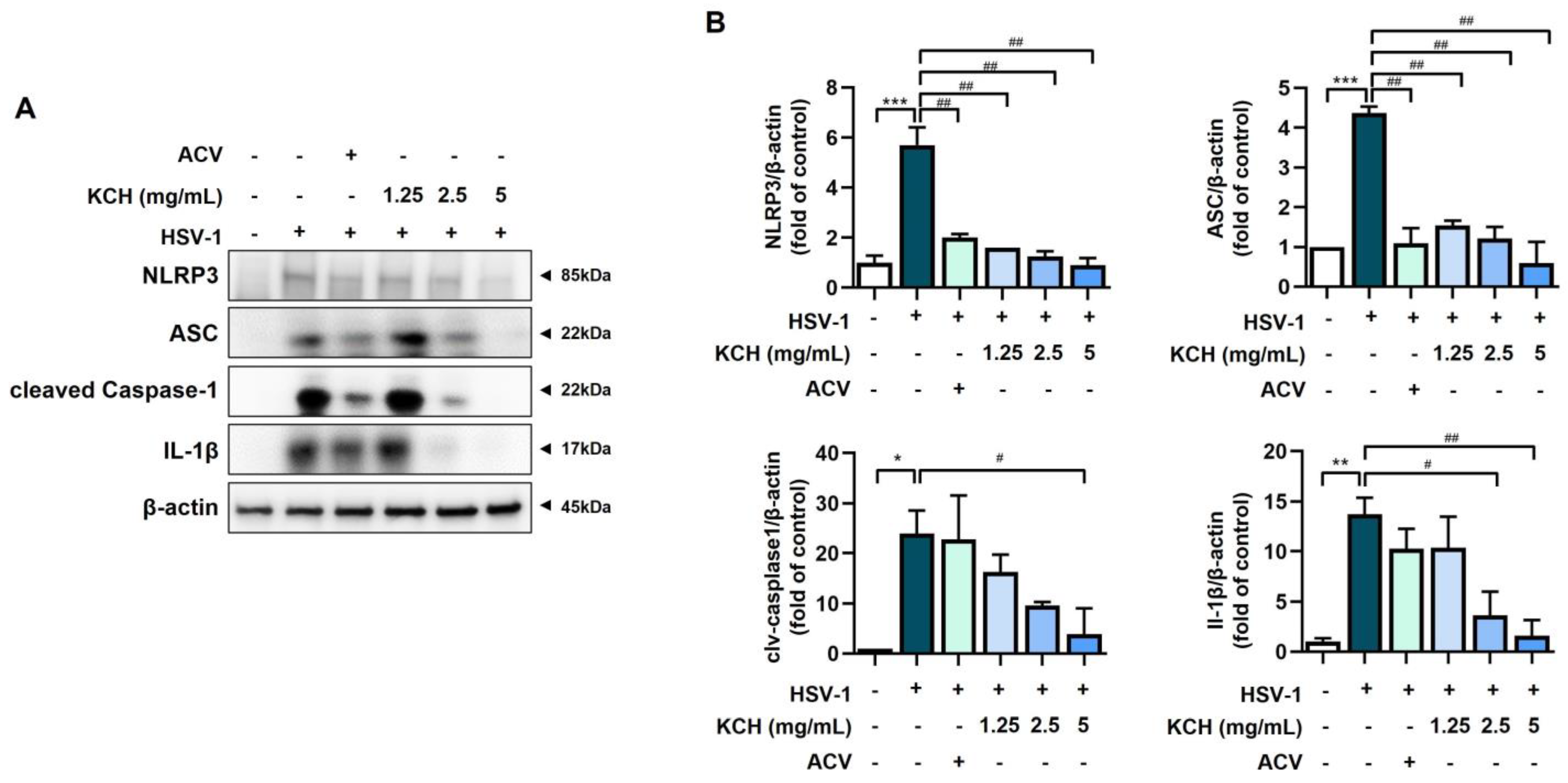 Antioxidants 12 01935 g007