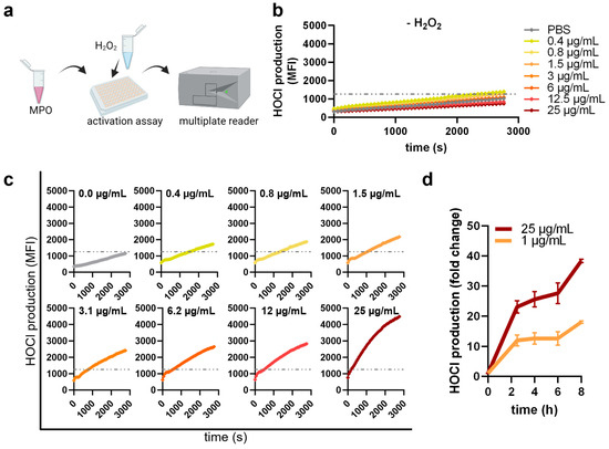 Antioxidants 12 01936 g001