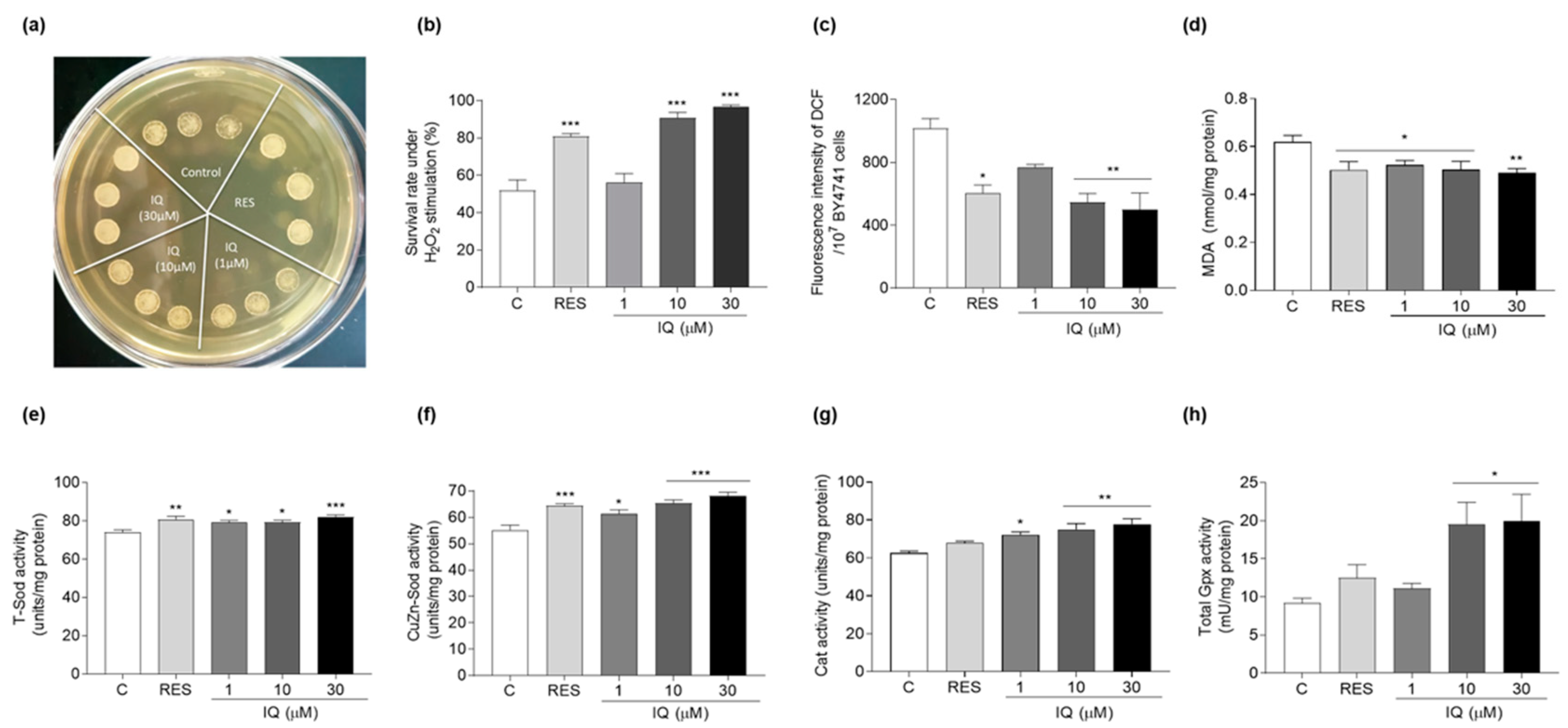 Antioxidants 12 01939 g003