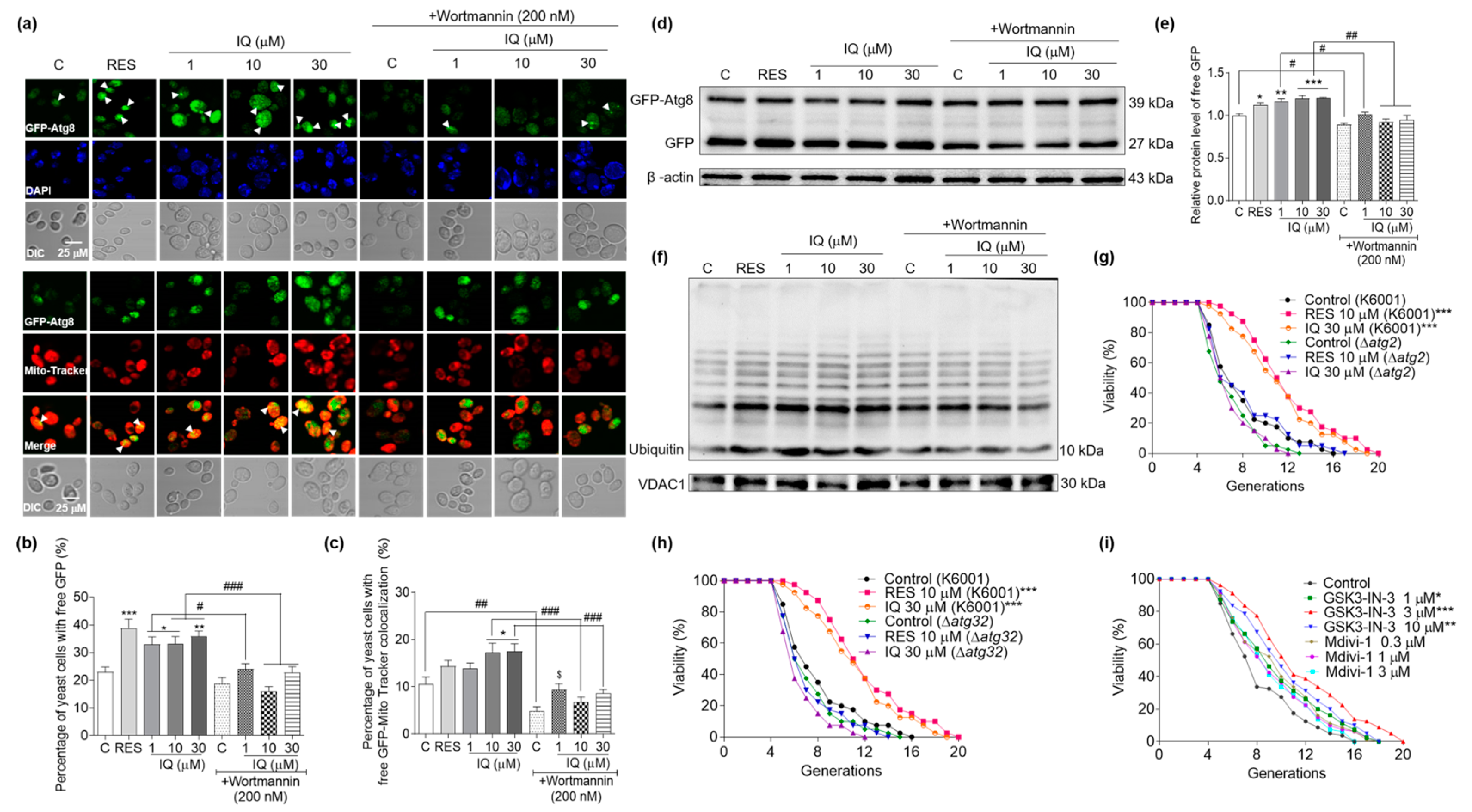 Antioxidants 12 01939 g006