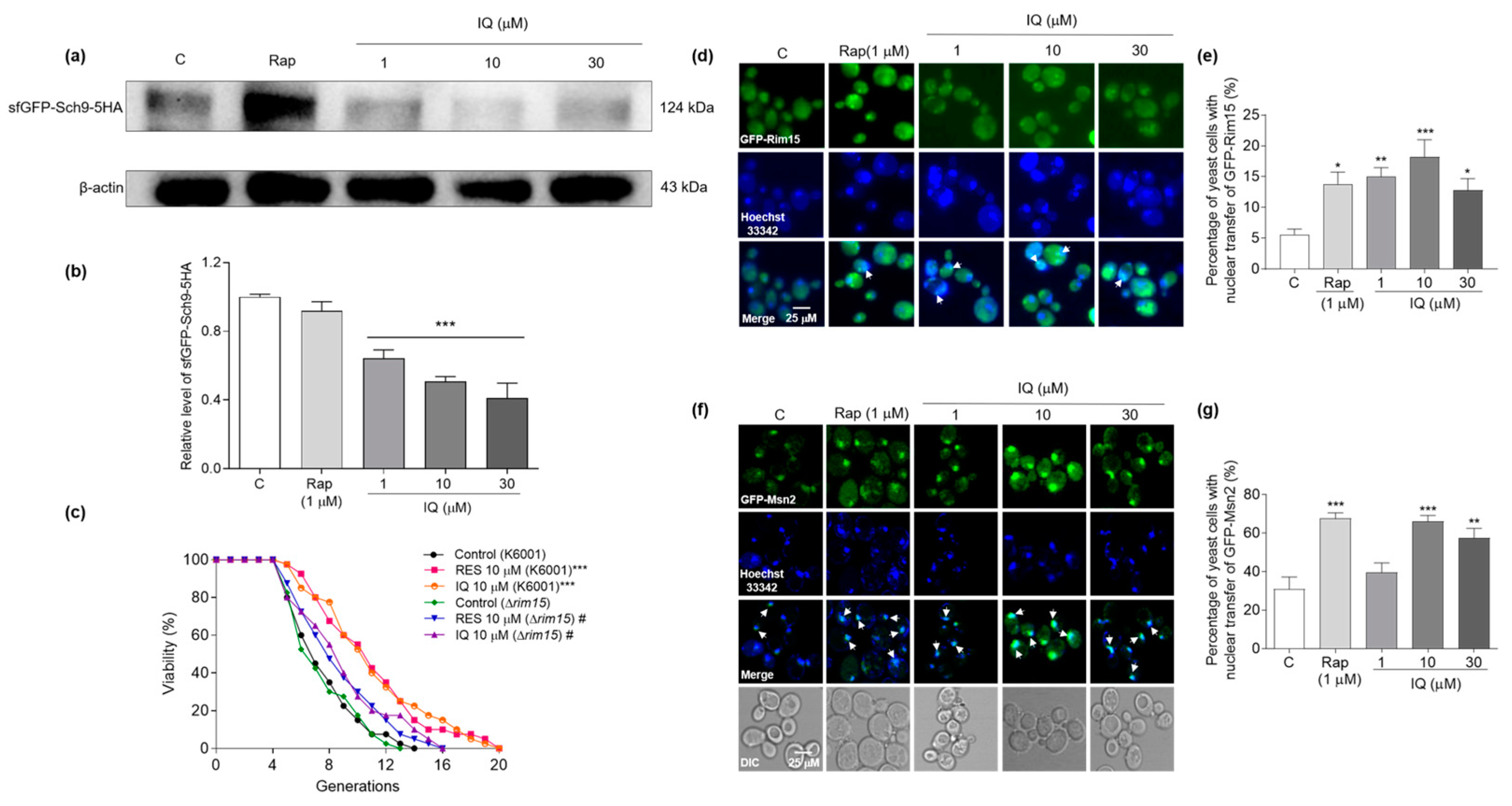 Antioxidants 12 01939 g007