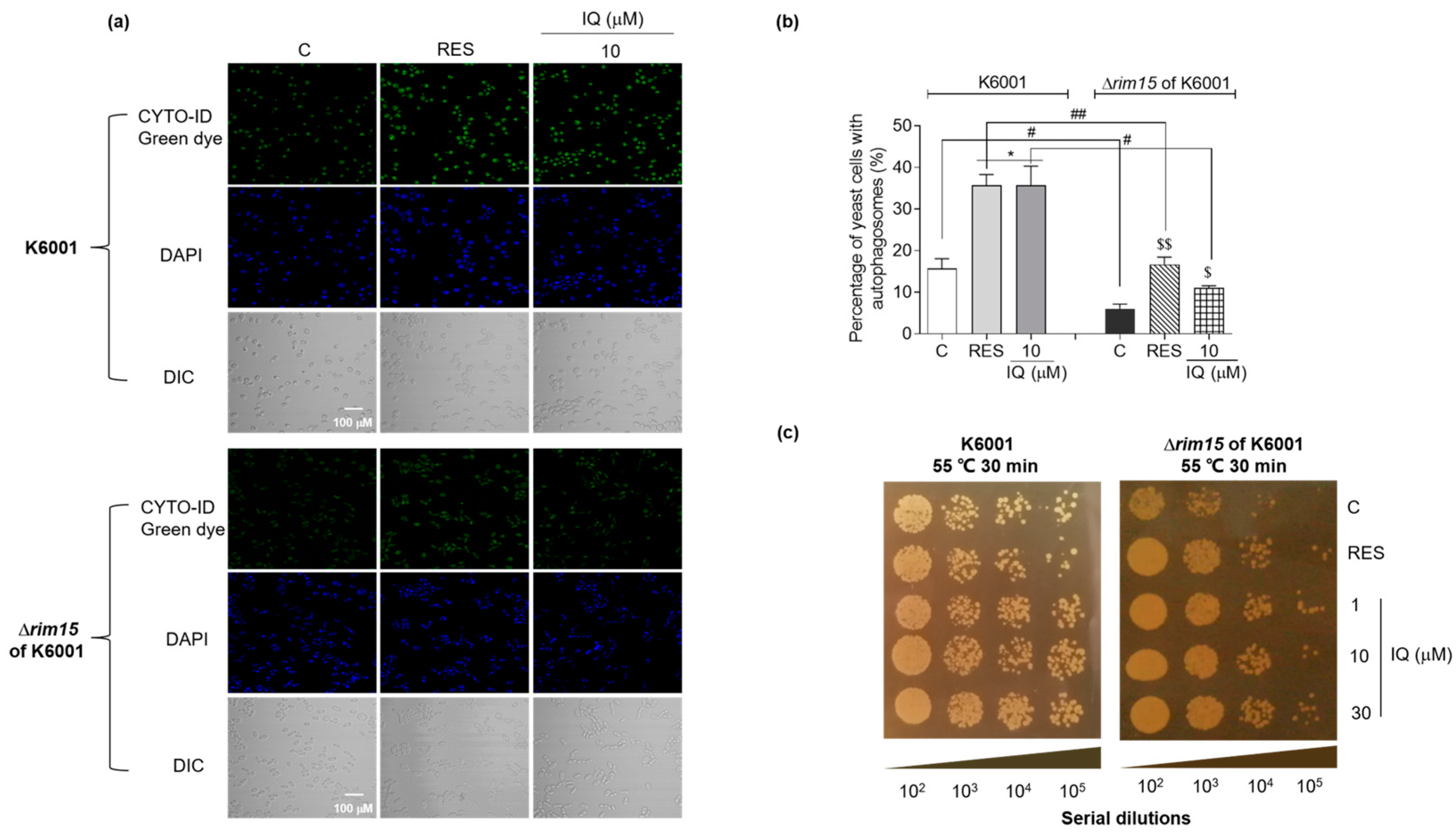 Antioxidants 12 01939 g008