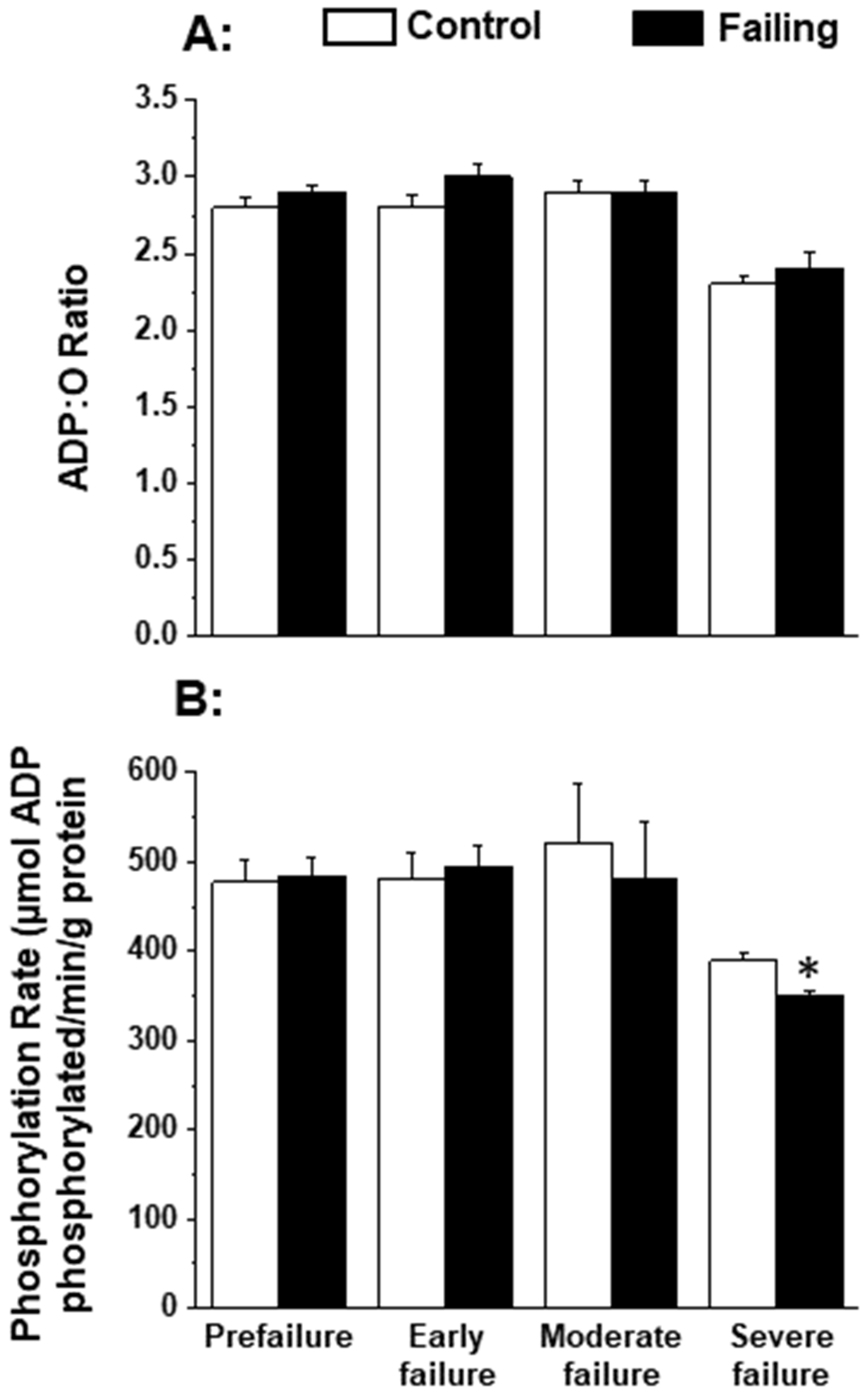 Antioxidants 12 01941 g001