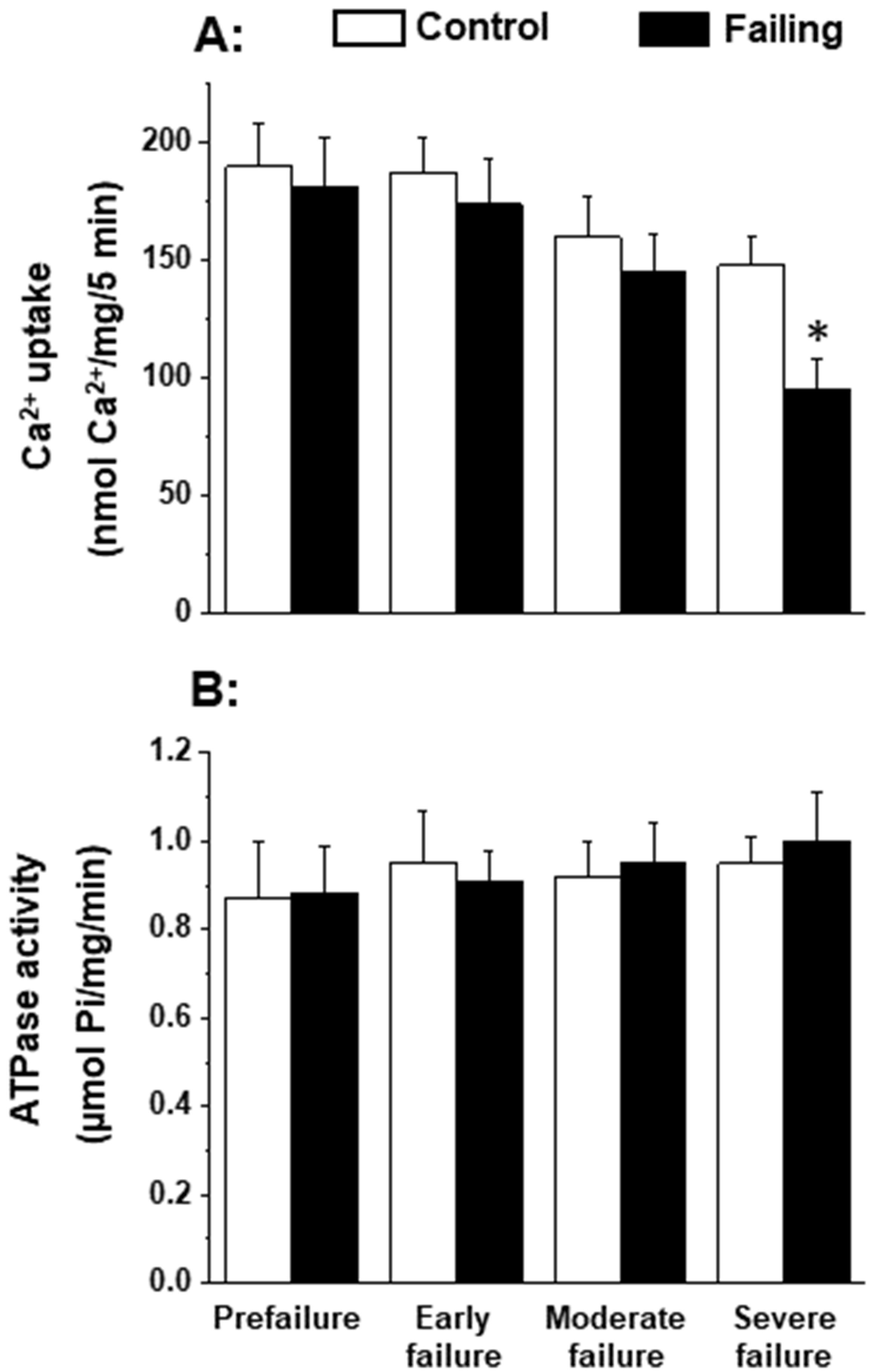 Antioxidants 12 01941 g002