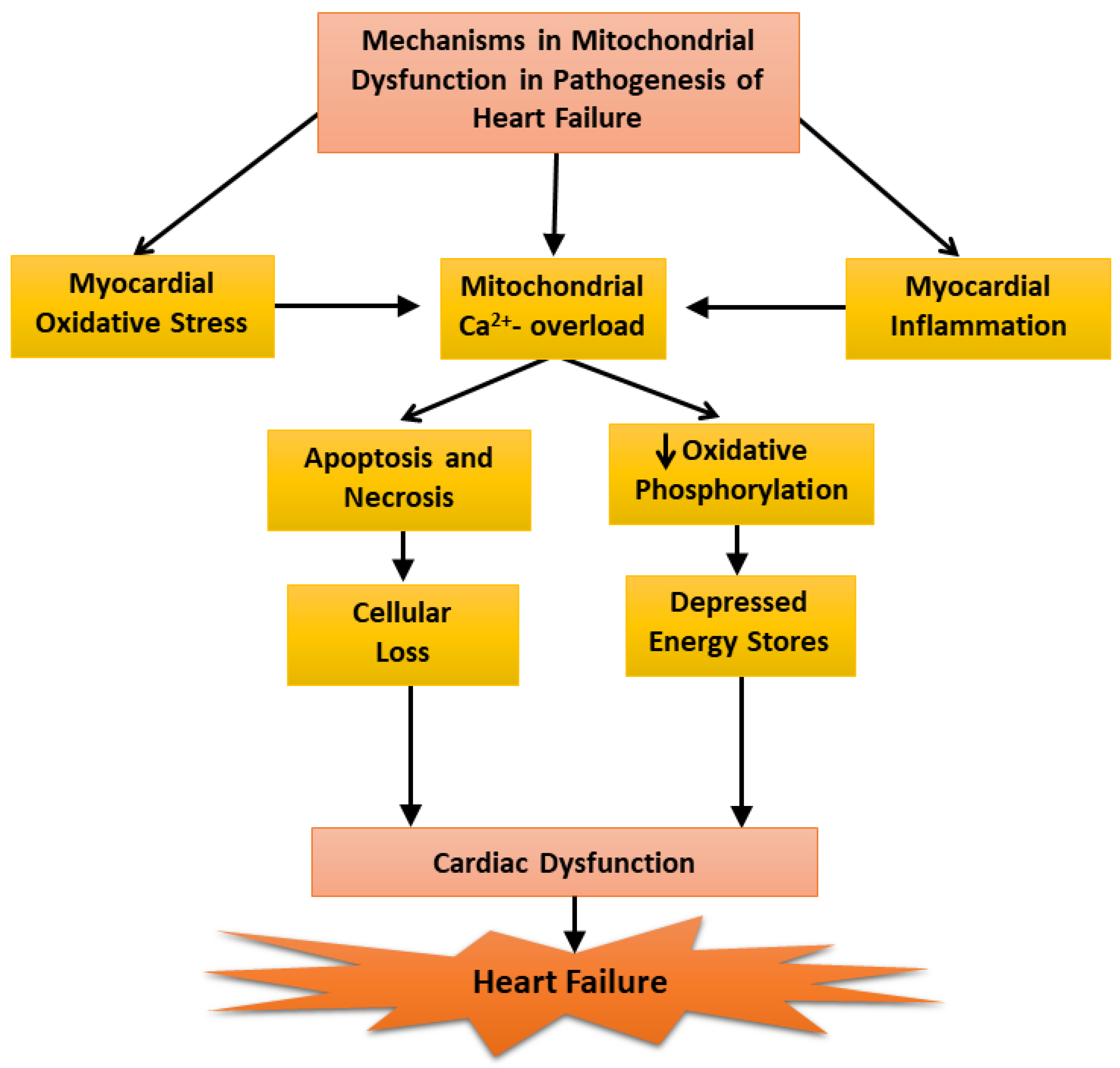 Antioxidants 12 01941 g003