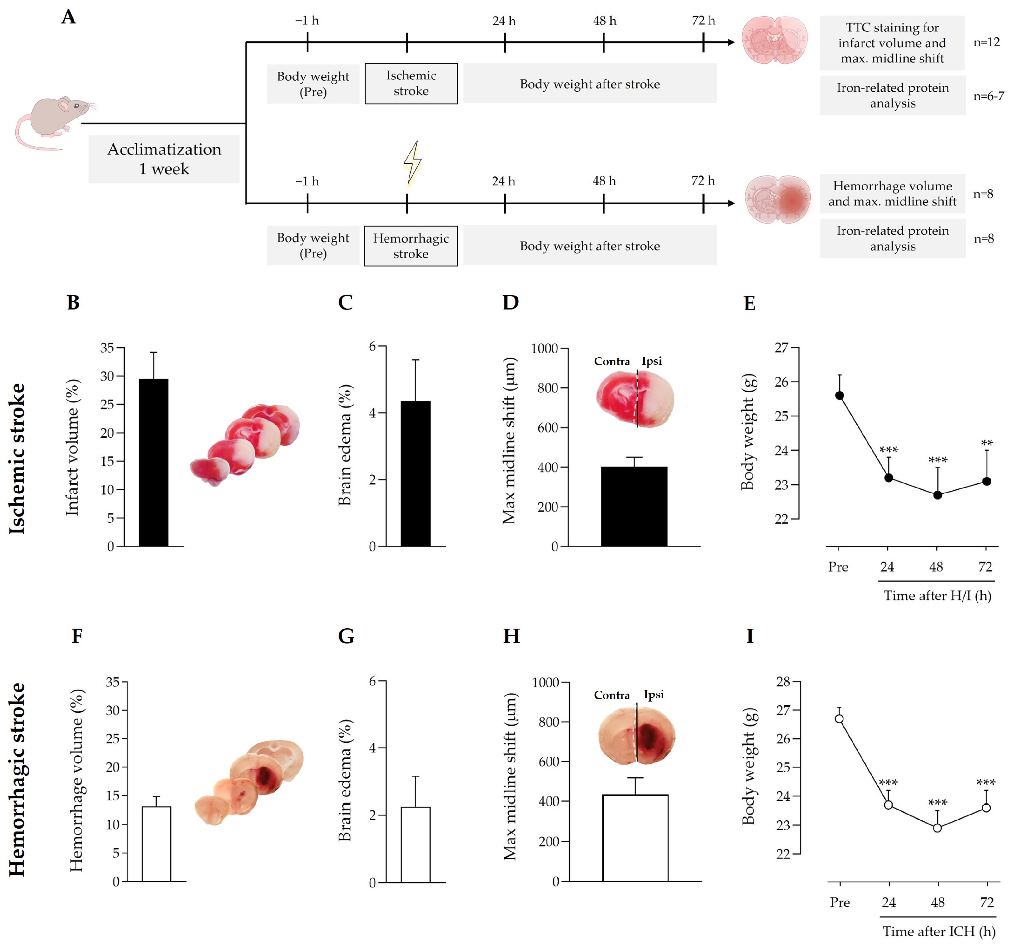 Antioxidants 12 01945 g001