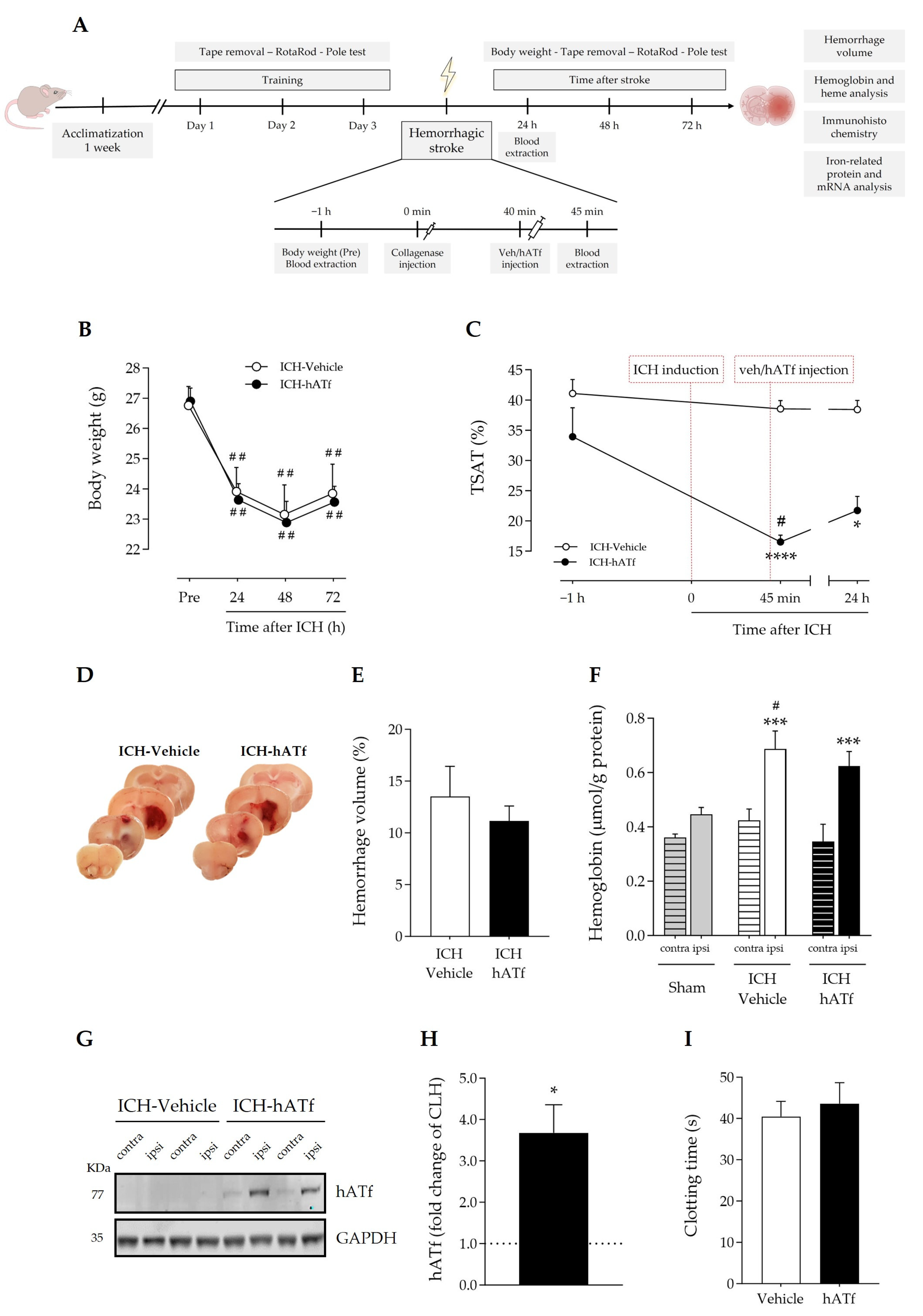 Antioxidants 12 01945 g003