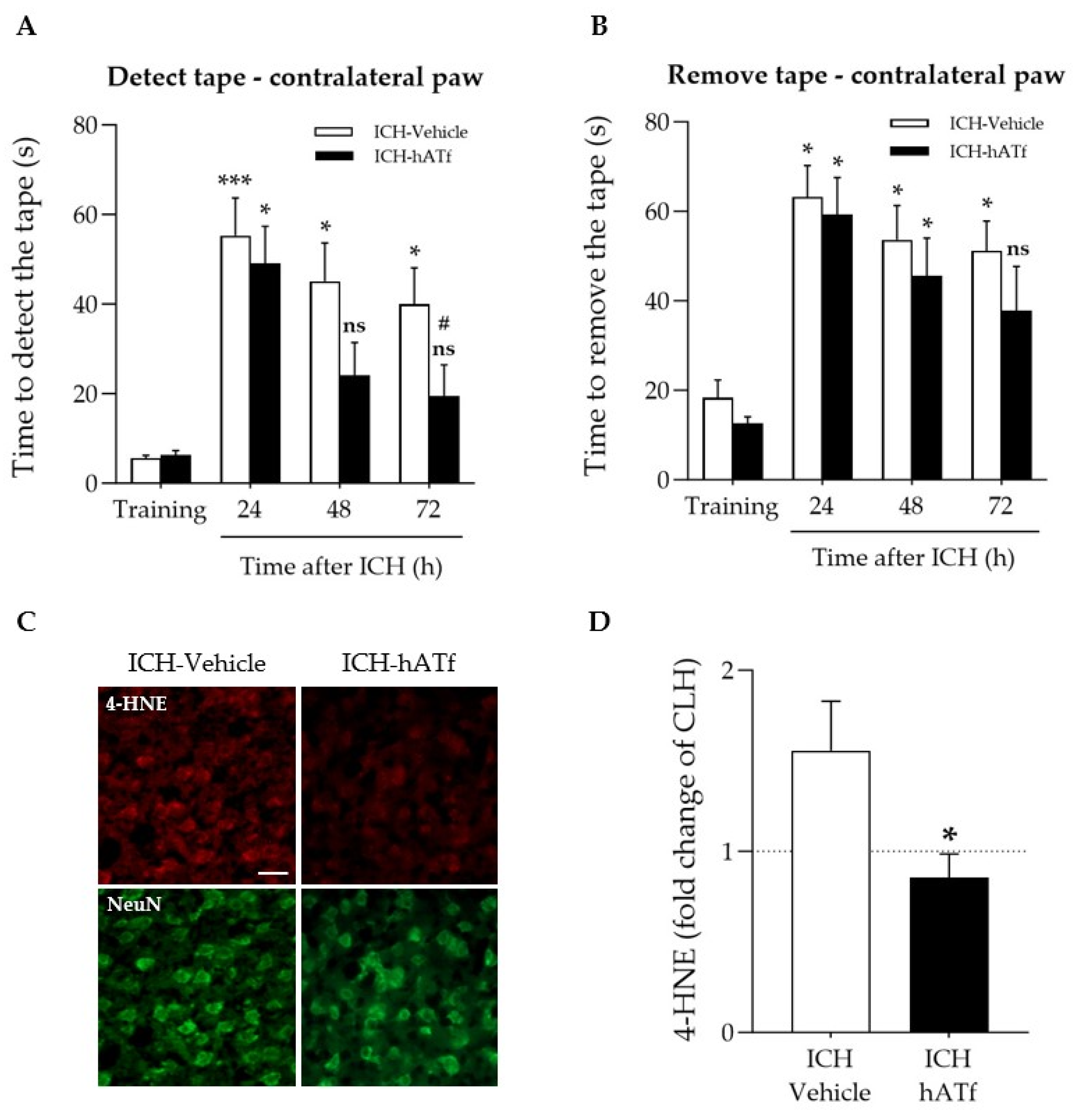 Antioxidants 12 01945 g004