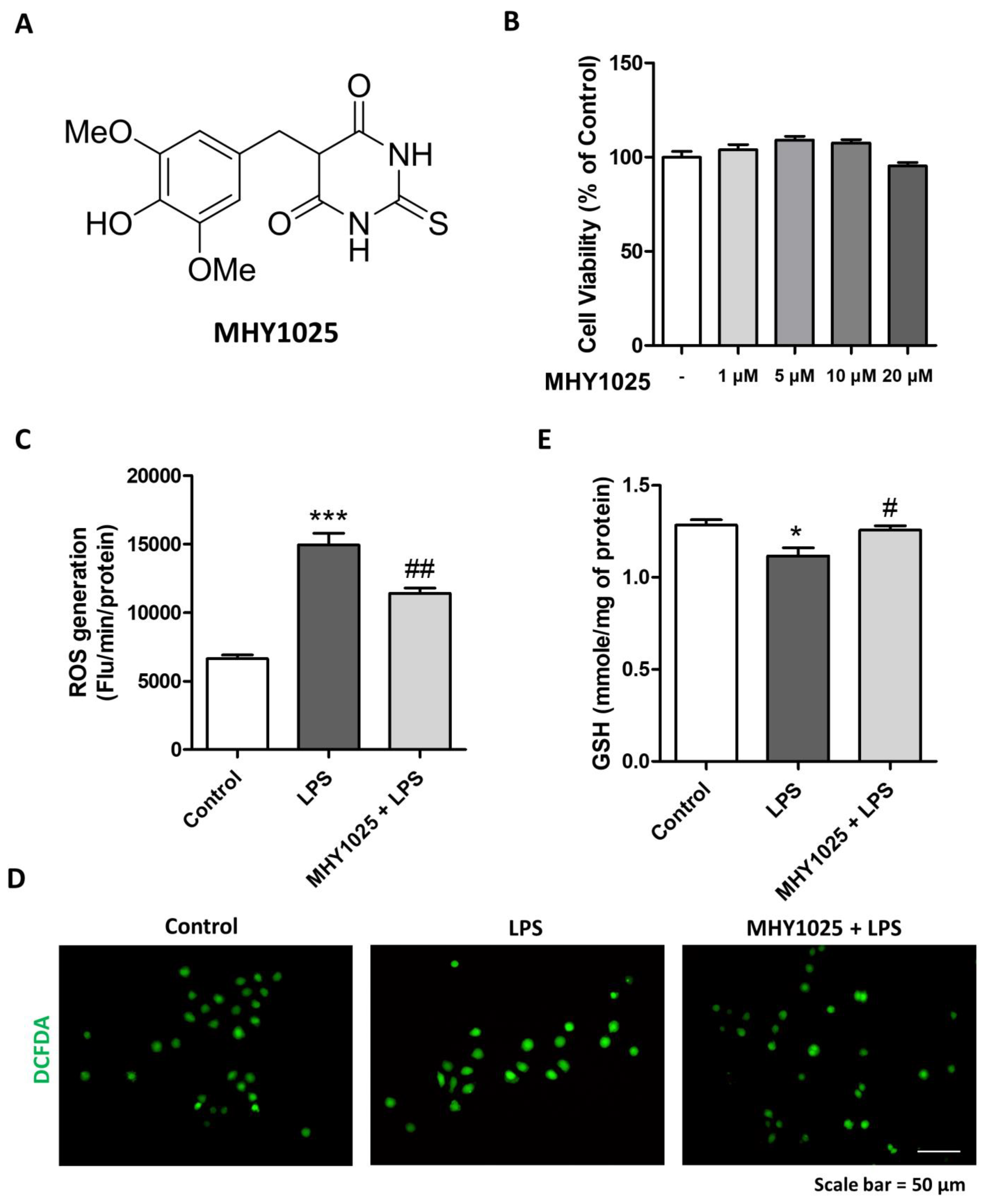Antioxidants 12 01947 g001 Antioxidants 12 01947 g001