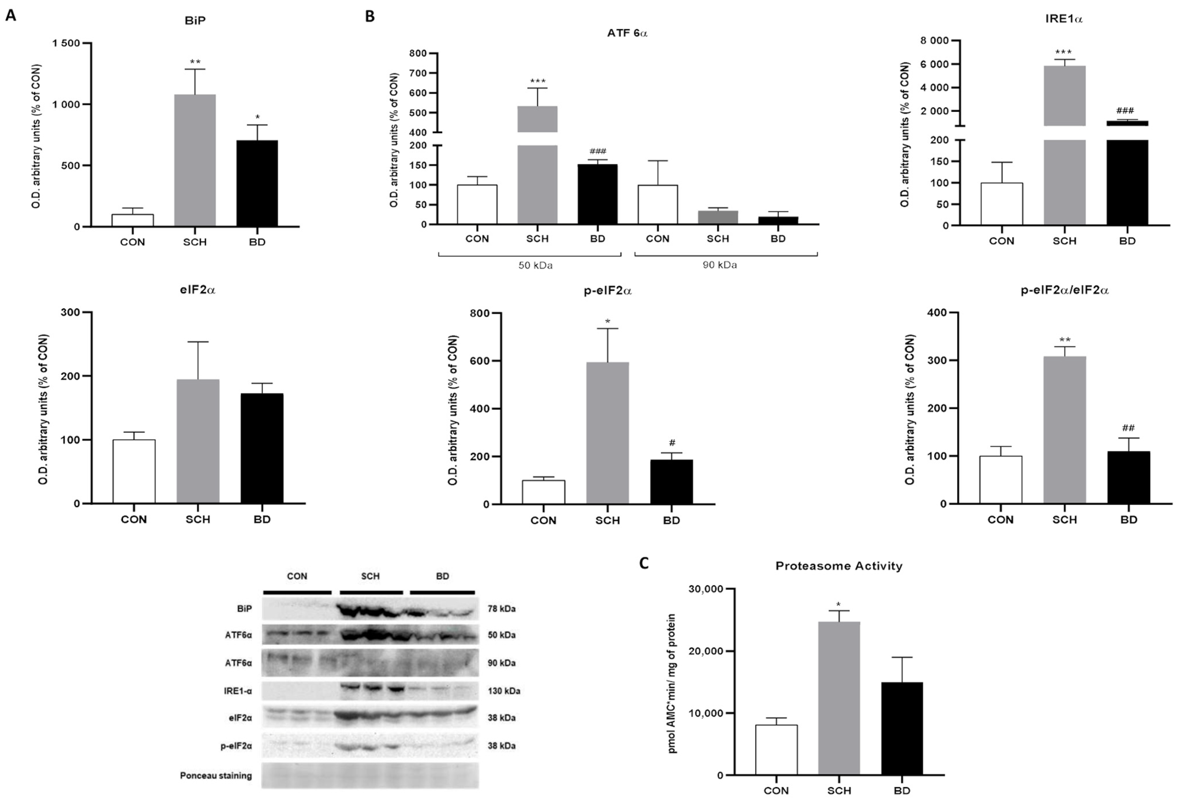 Antioxidants 12 01948 g004