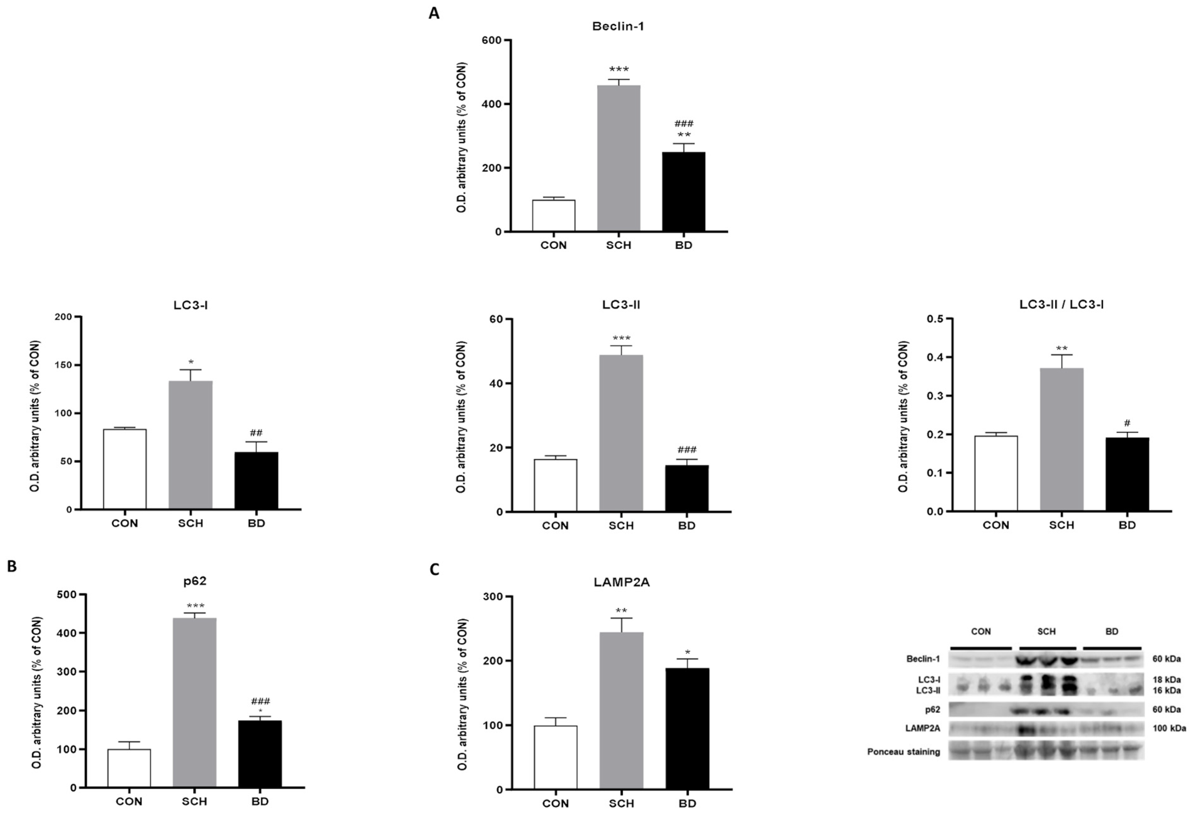 Antioxidants 12 01948 g005
