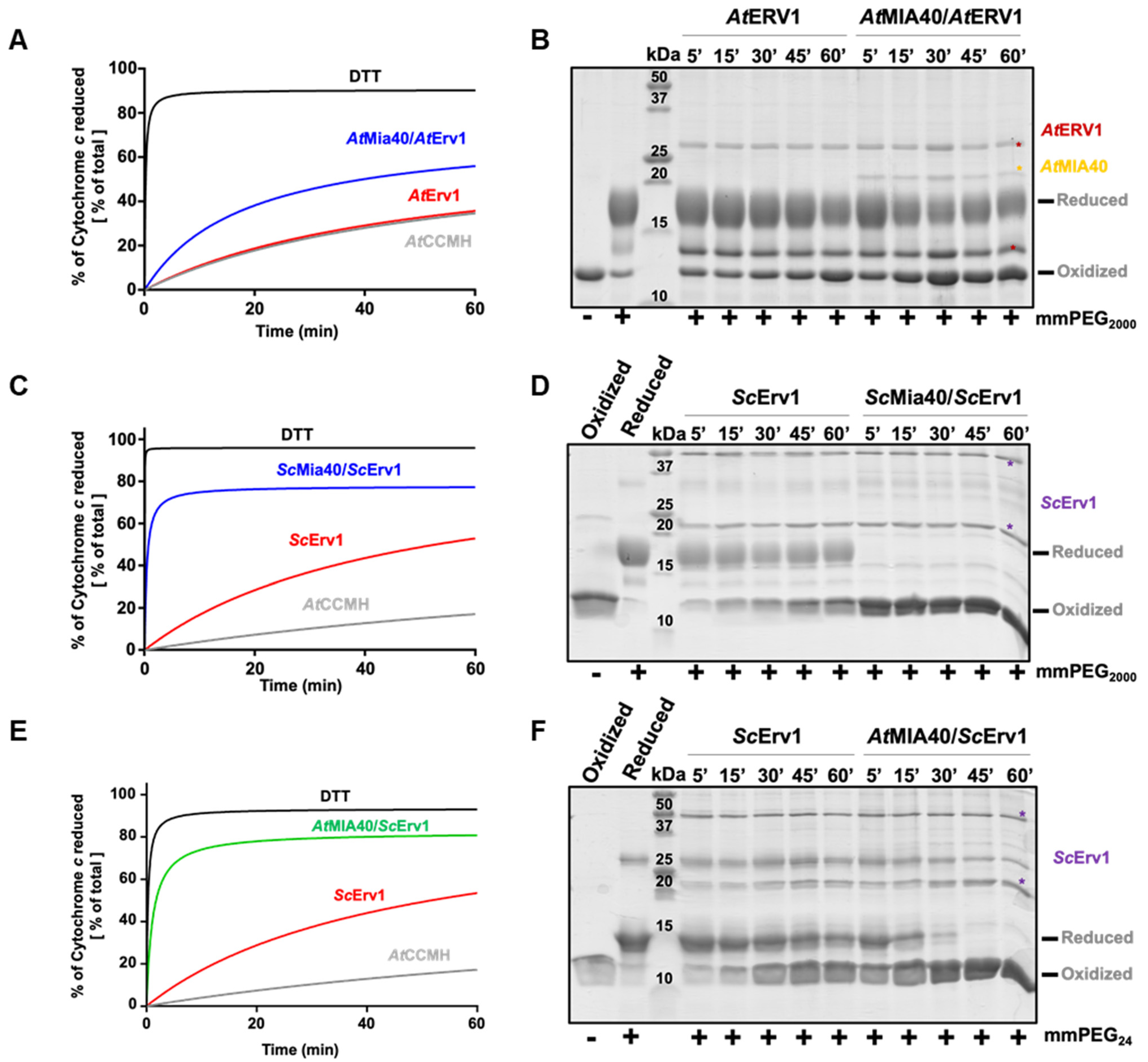 Antioxidants 12 01949 g003