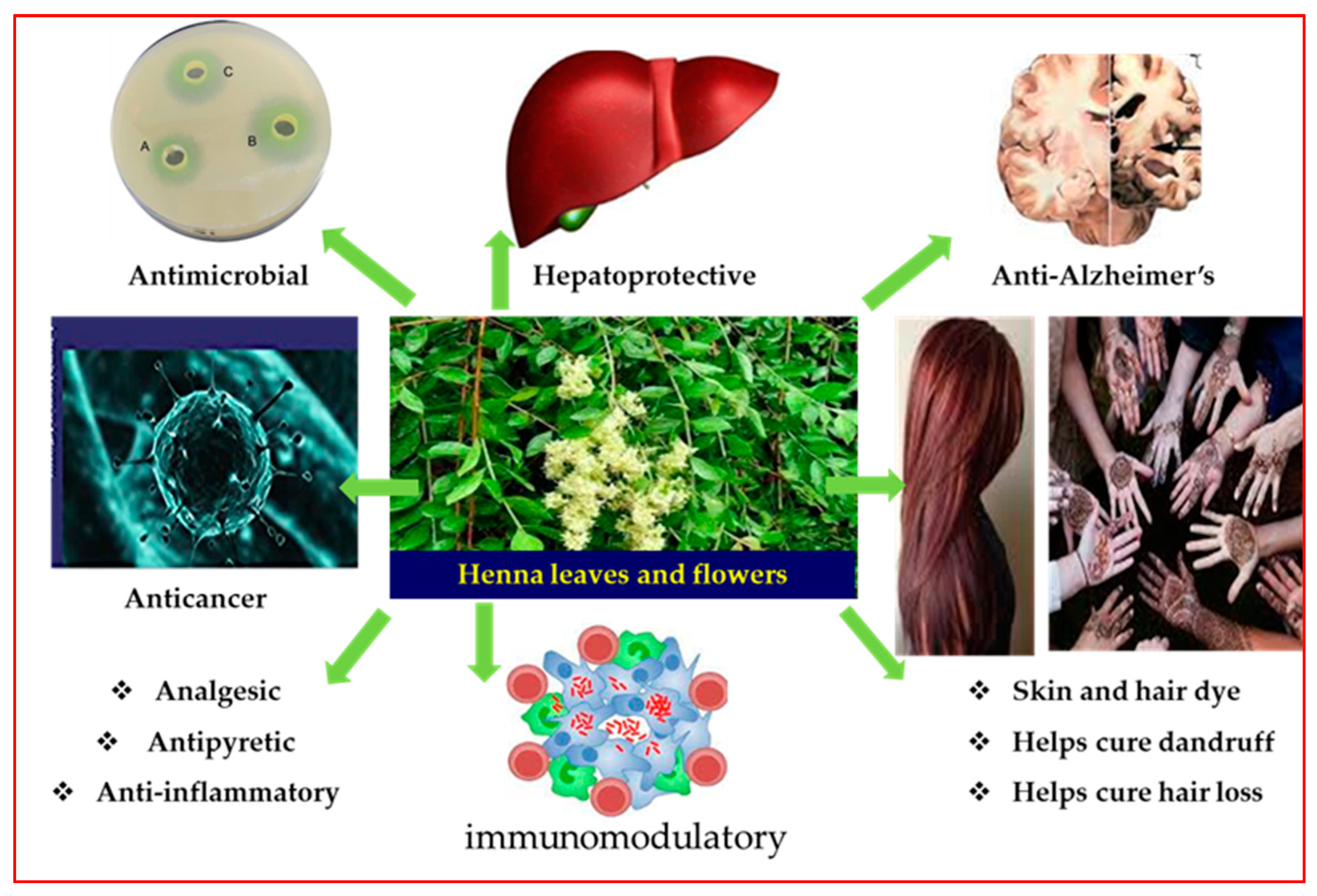 Antioxidants 12 01951 g001