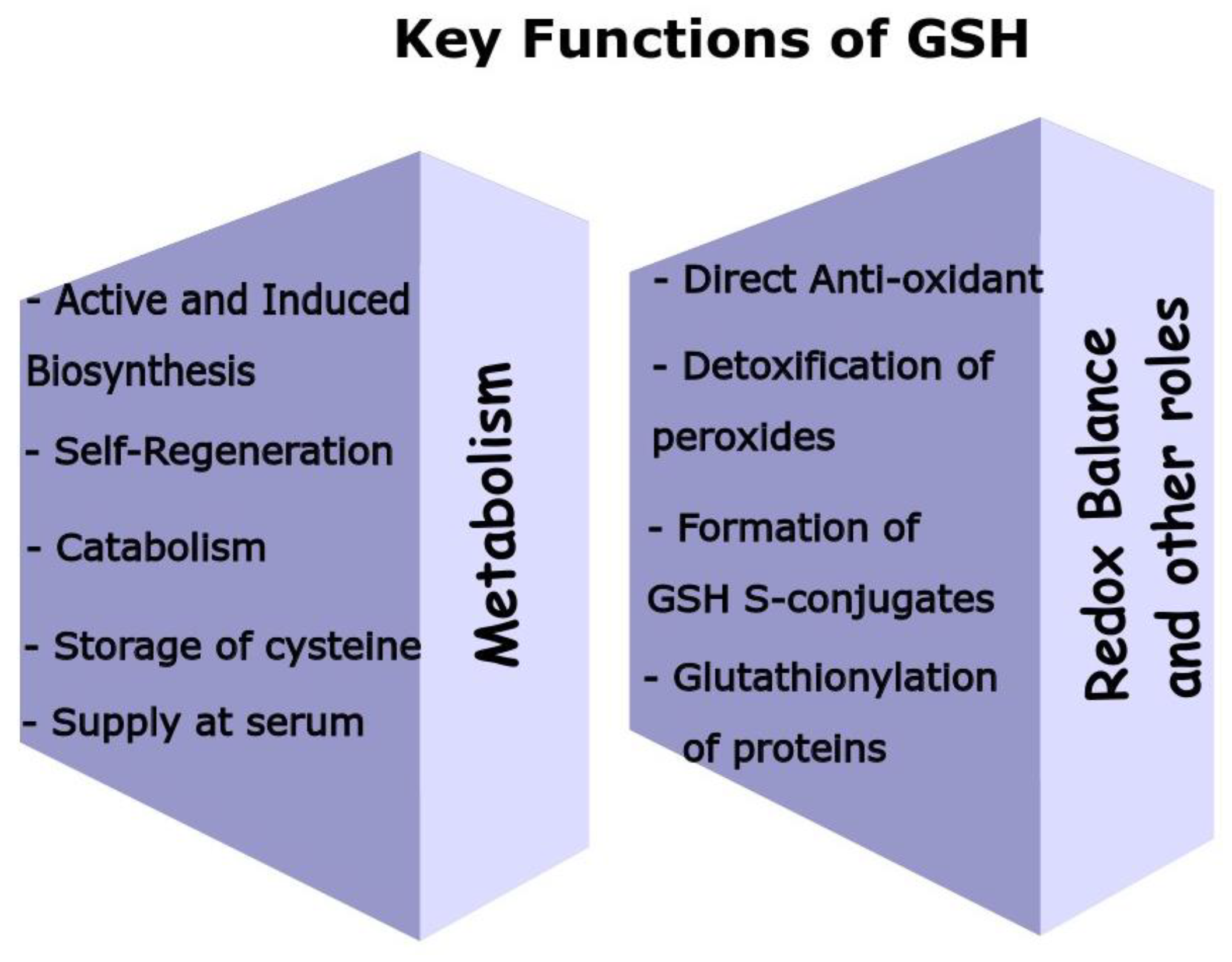 Antioxidants 12 01953 g002 Antioxidants 12 01953 g002