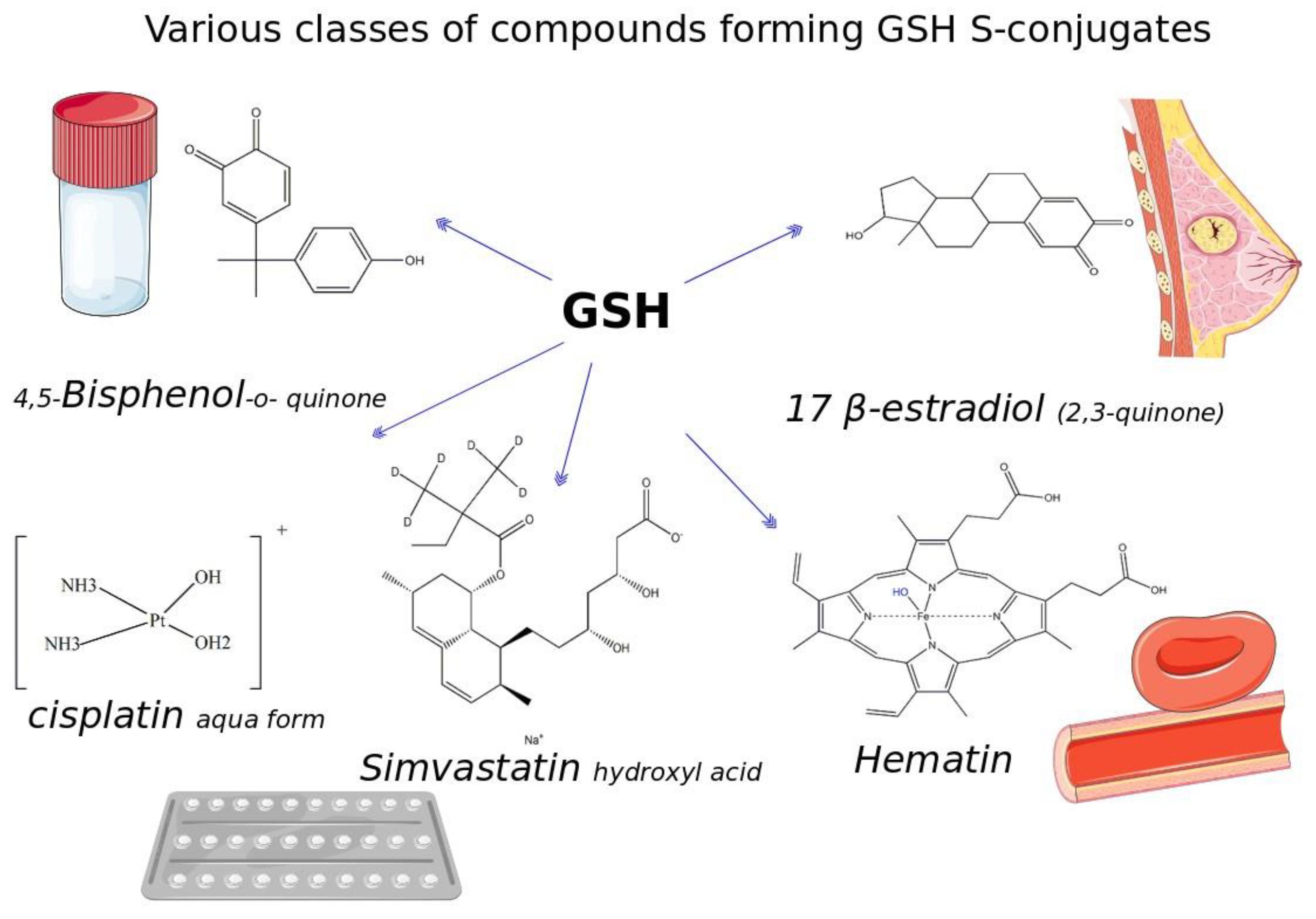 Antioxidants 12 01953 g003 Antioxidants 12 01953 g003