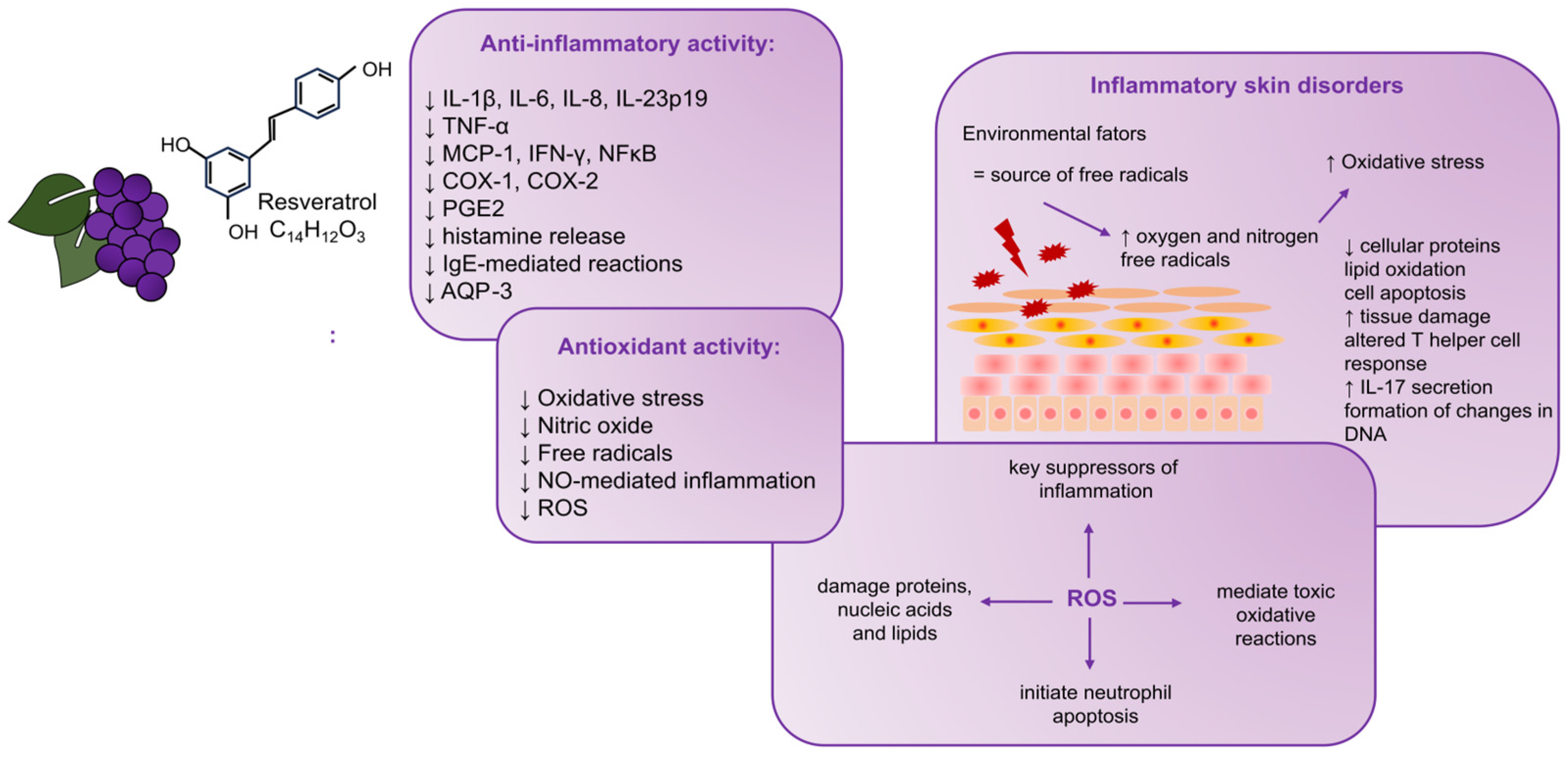 Antioxidants 12 01954 g001