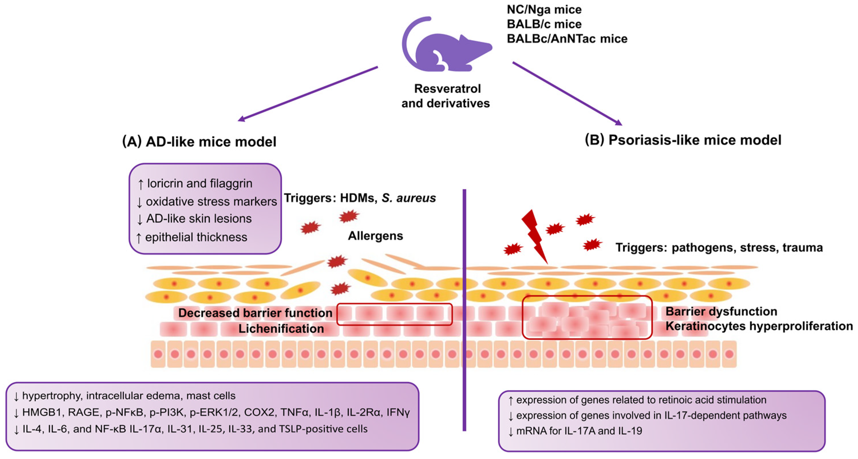 Antioxidants 12 01954 g002