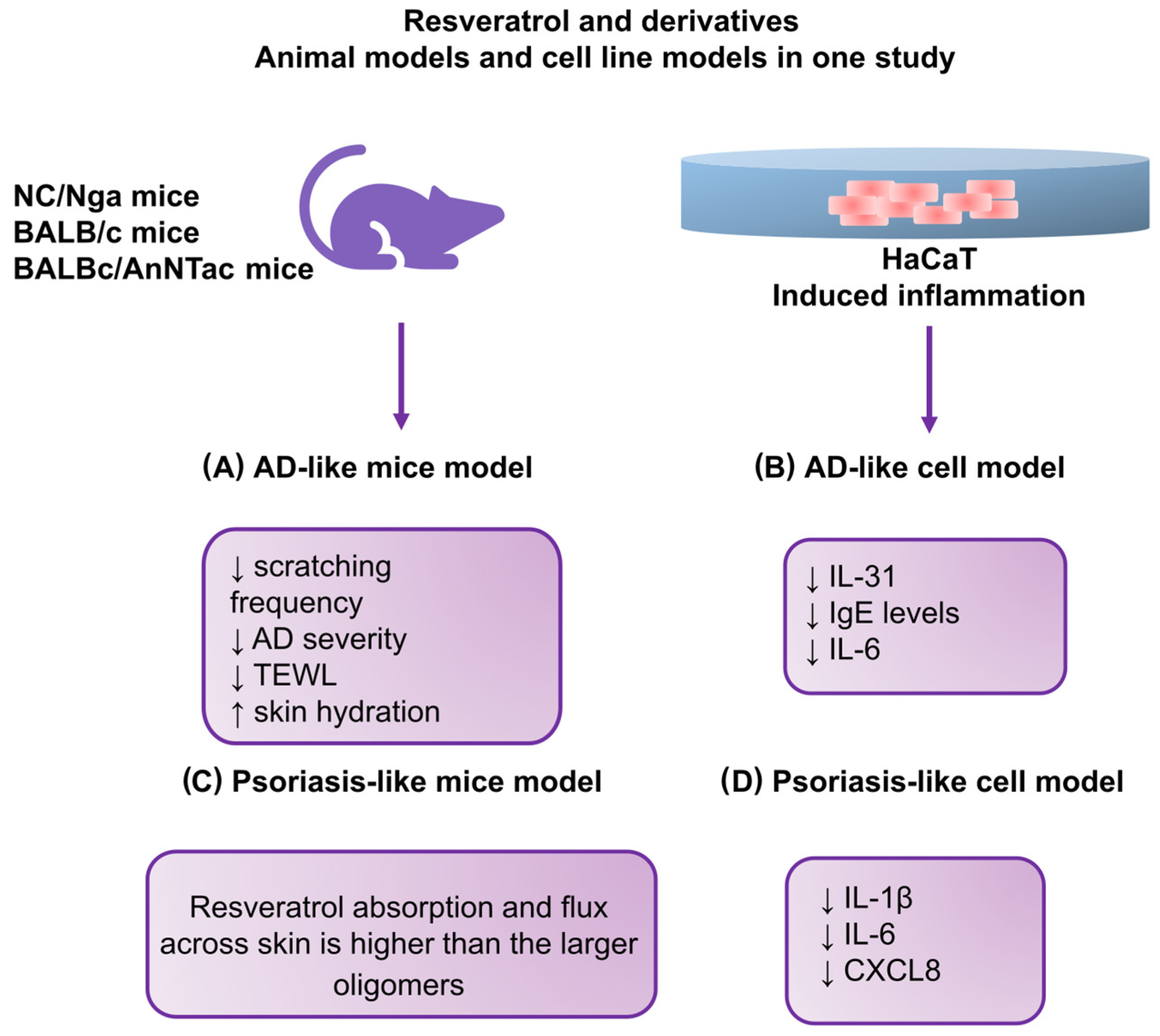 Antioxidants 12 01954 g003