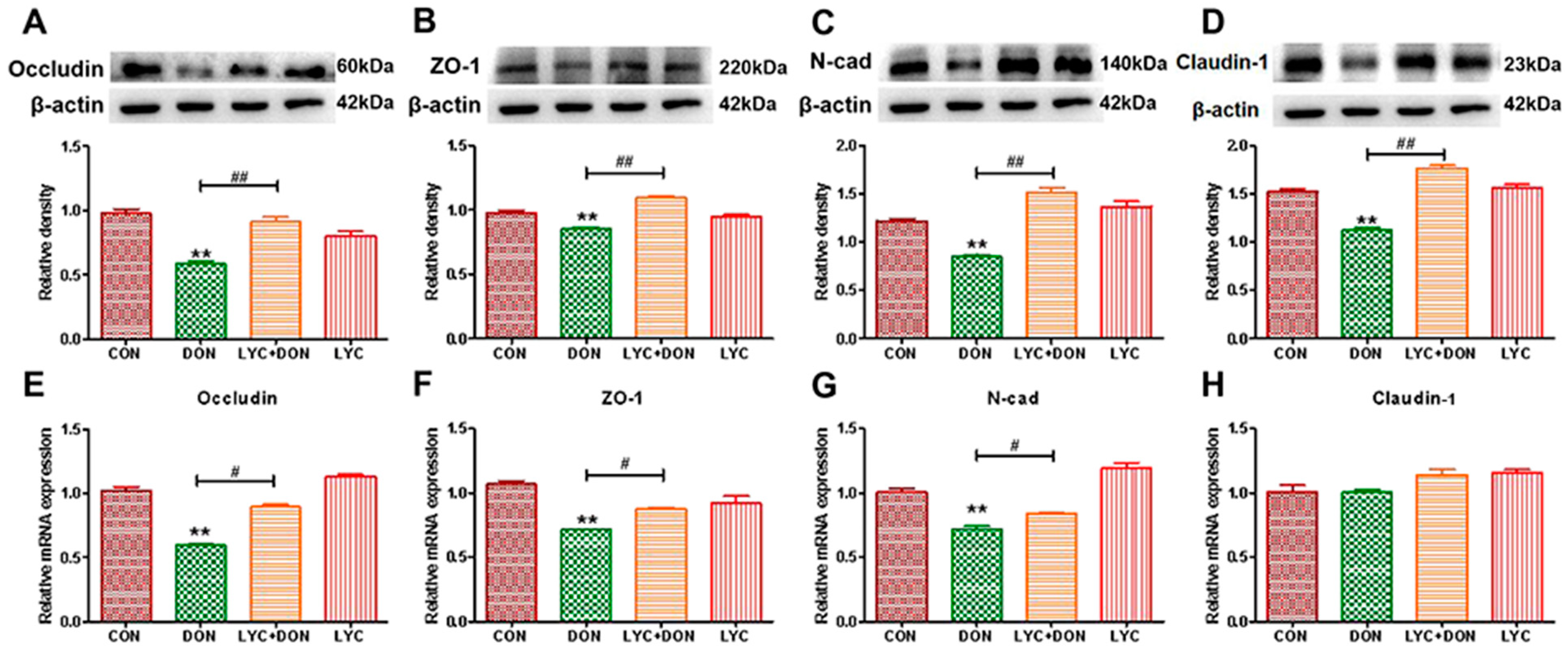 Antioxidants 12 01958 g002