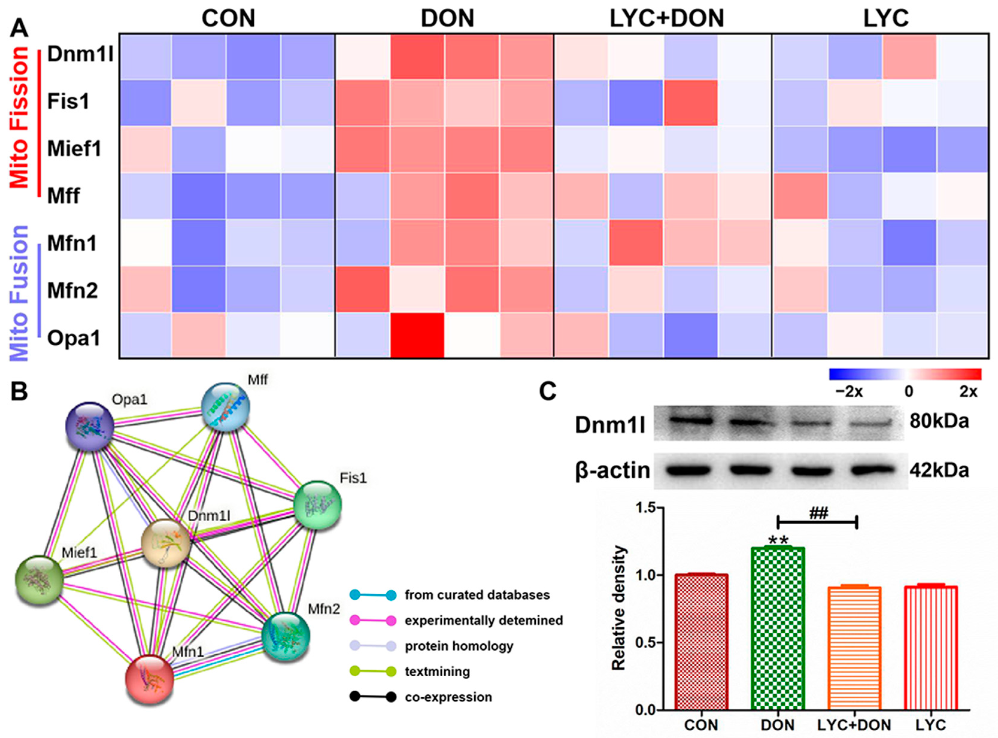 Antioxidants 12 01958 g005