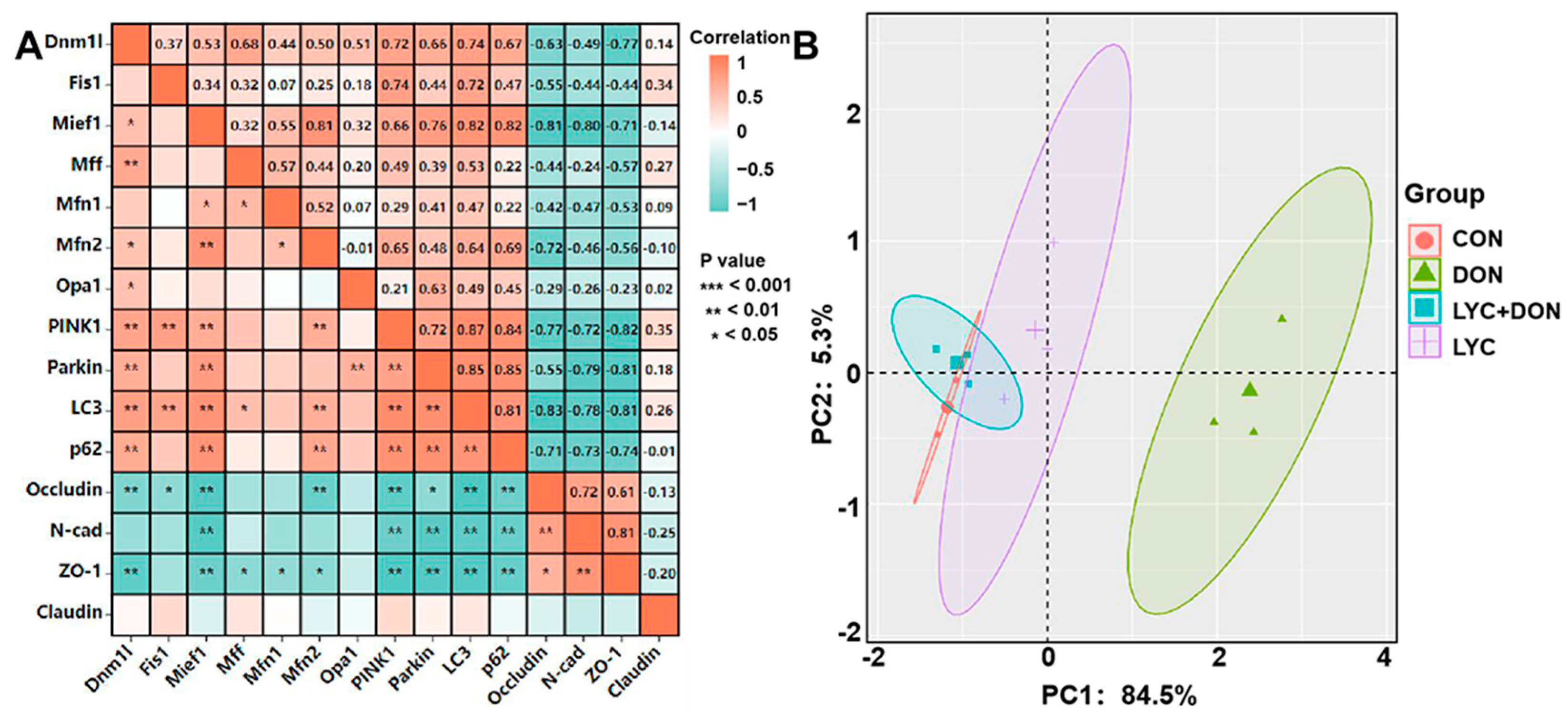Antioxidants 12 01958 g007