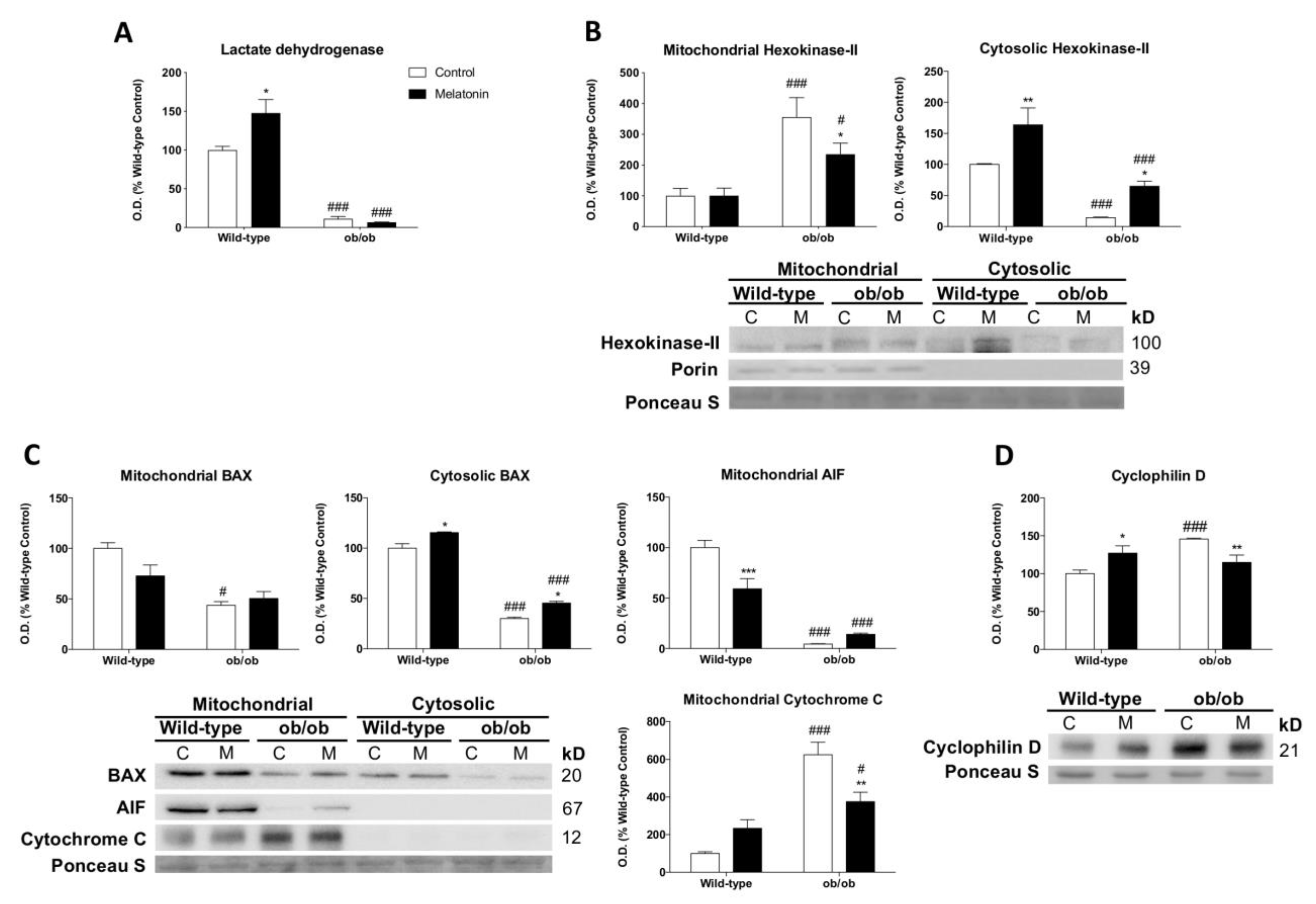 Antioxidants 12 01962 g003