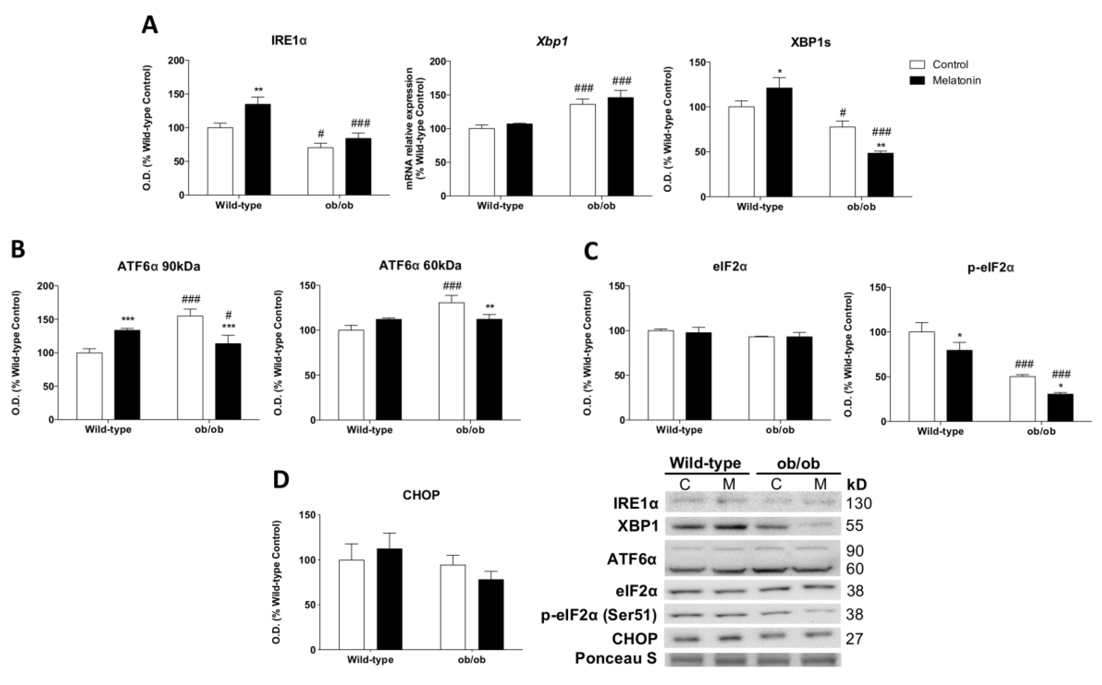 Antioxidants 12 01962 g005