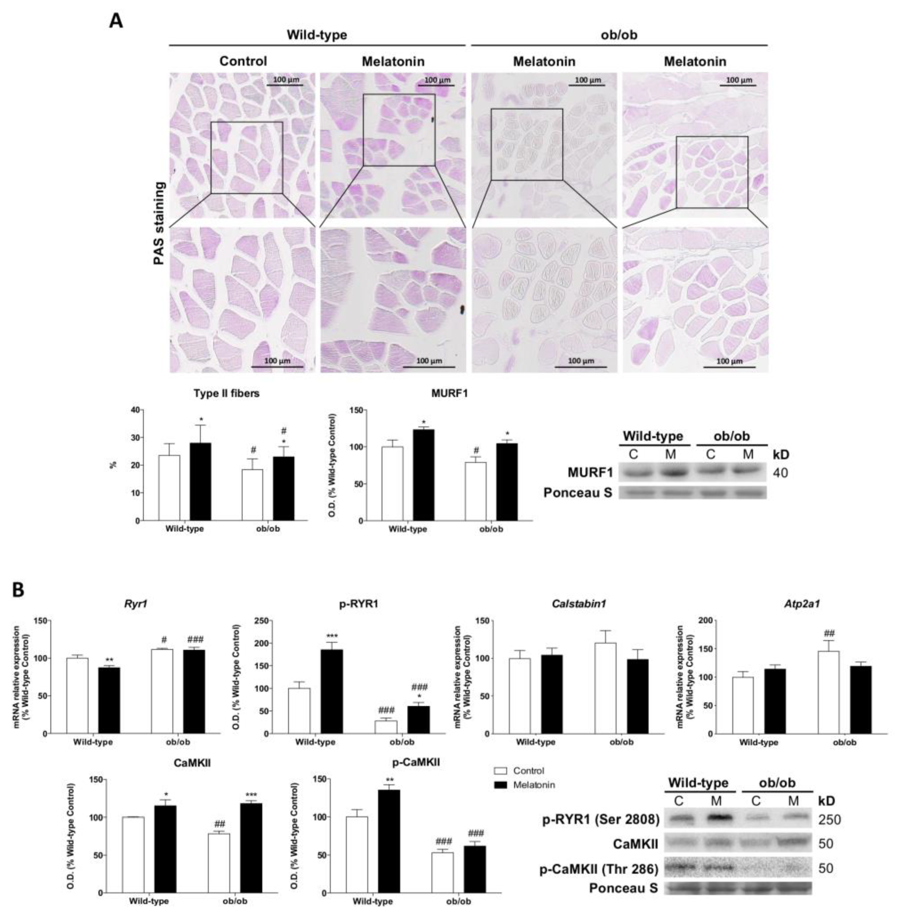 Antioxidants 12 01962 g007