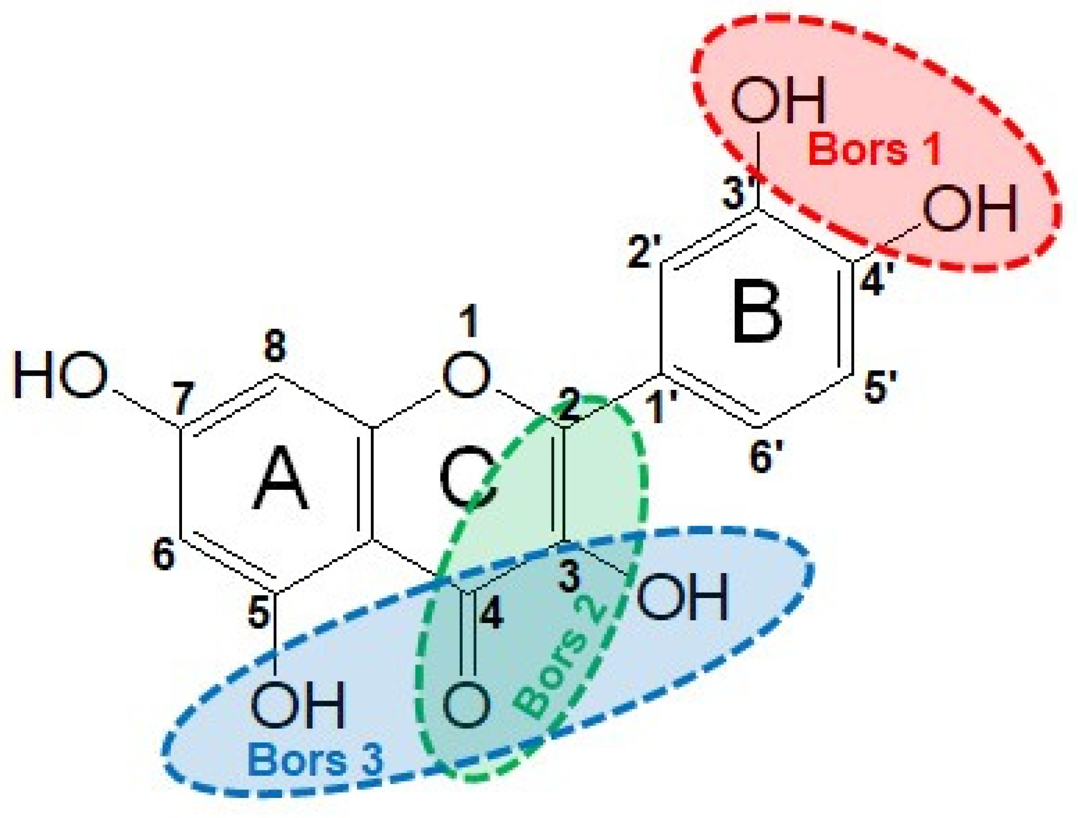 Antioxidants 12 01963 g002