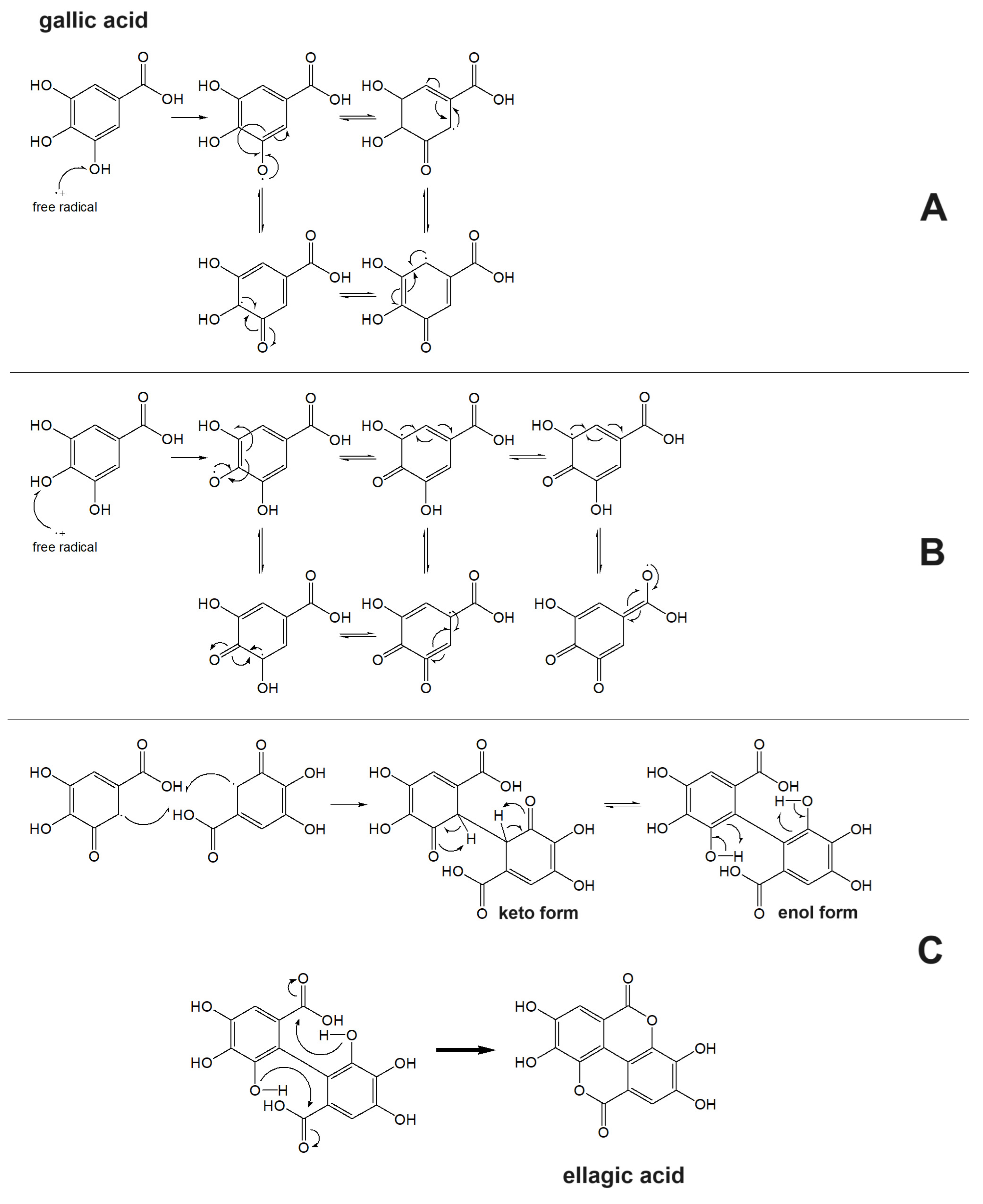 Antioxidants 12 01963 g003