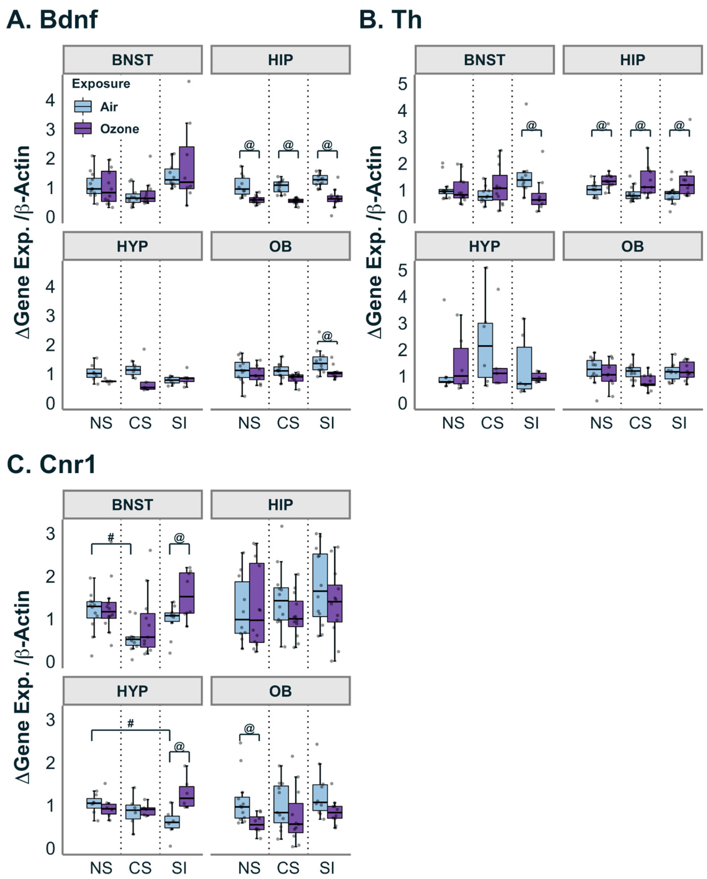 Antioxidants 12 01964 g004