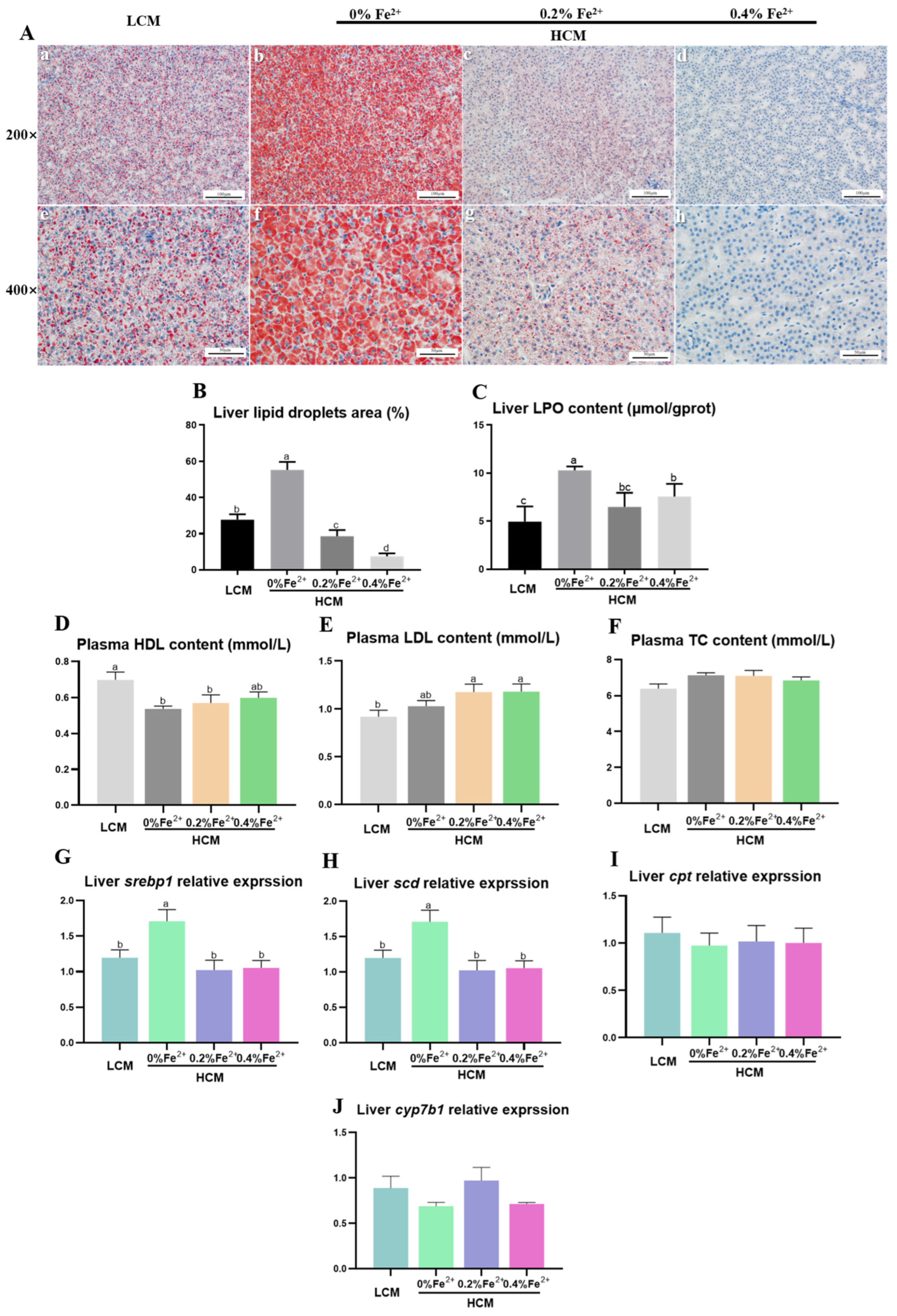 Antioxidants 12 01968 g002