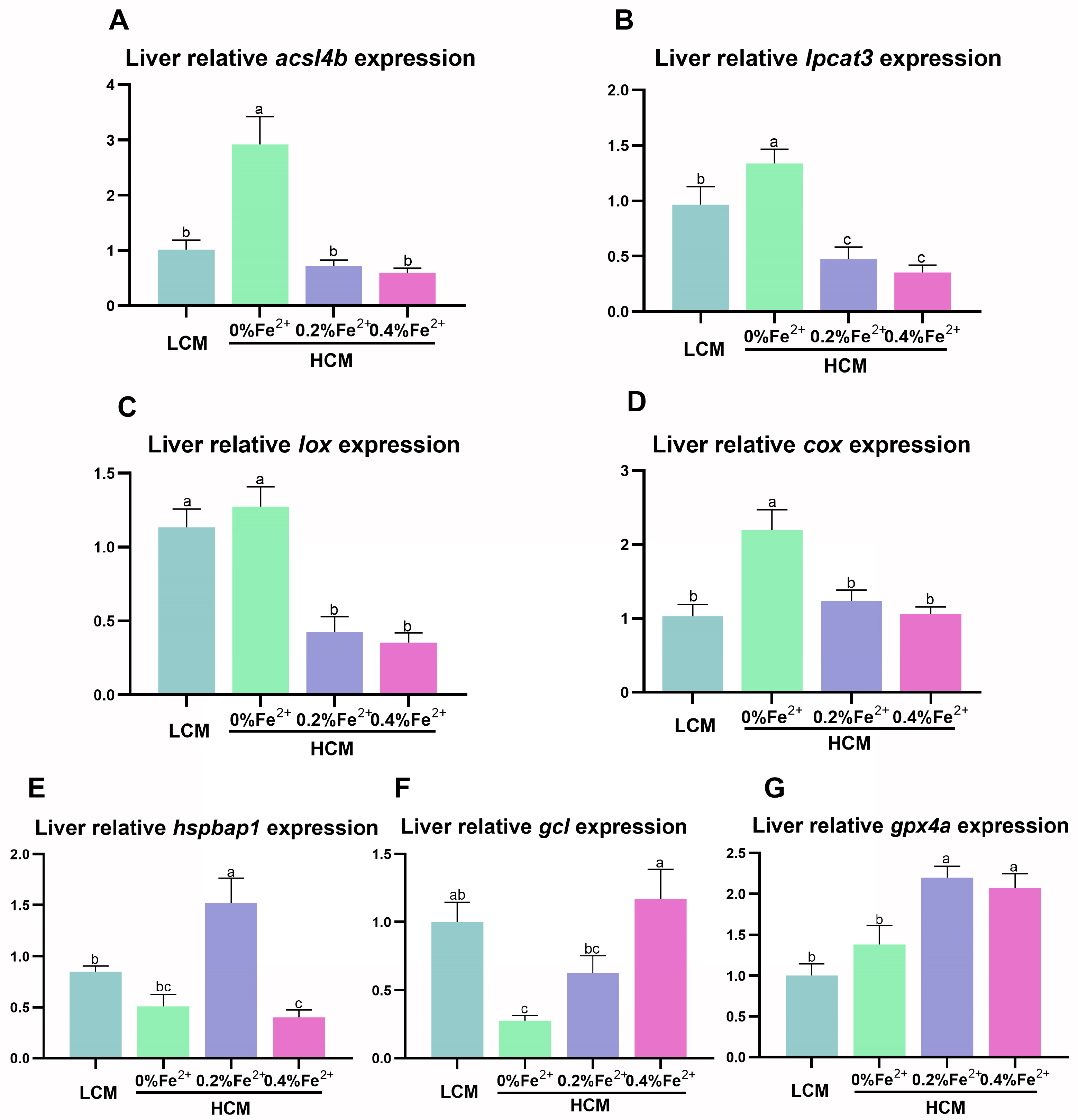 Antioxidants 12 01968 g004