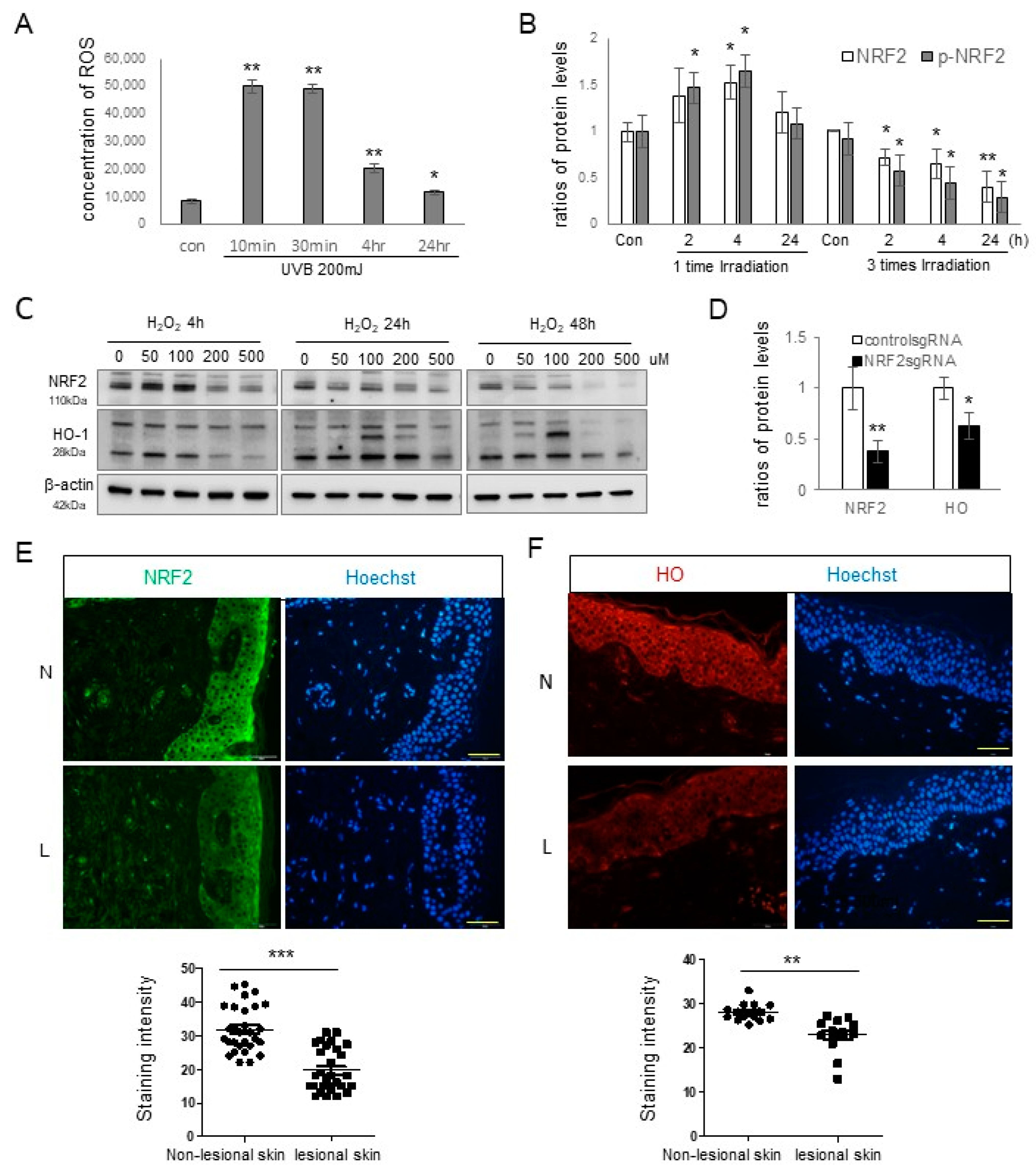 Antioxidants 12 01969 g001