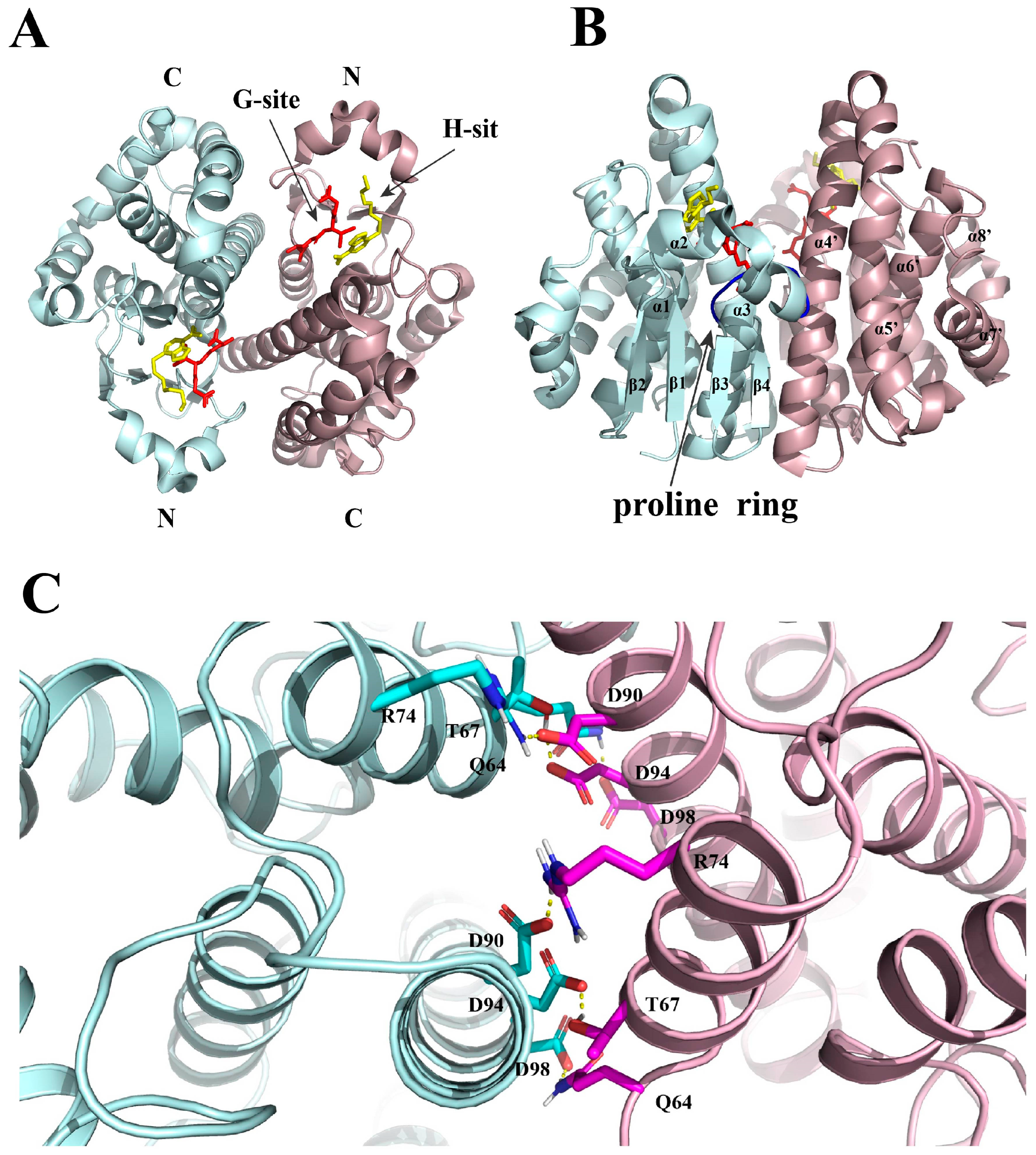 Antioxidants 12 01970 g001