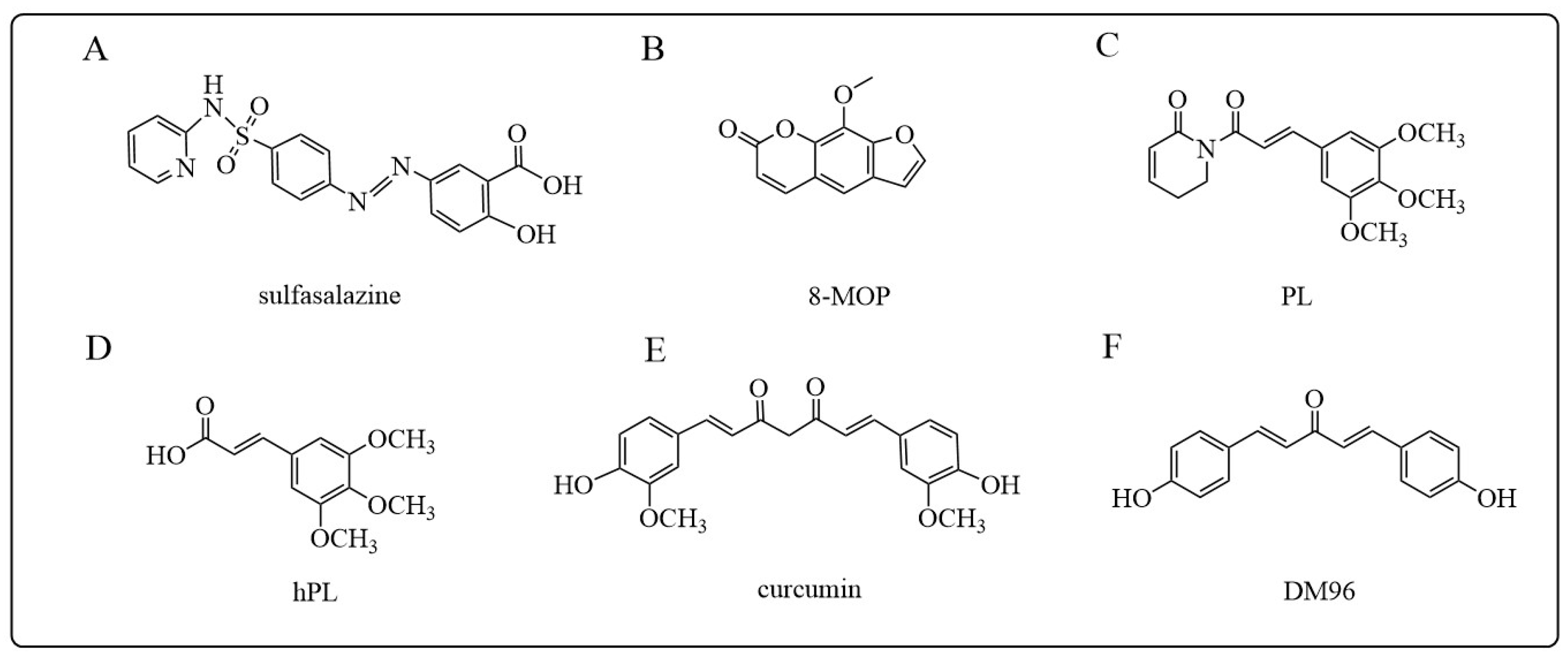 Antioxidants 12 01970 g009