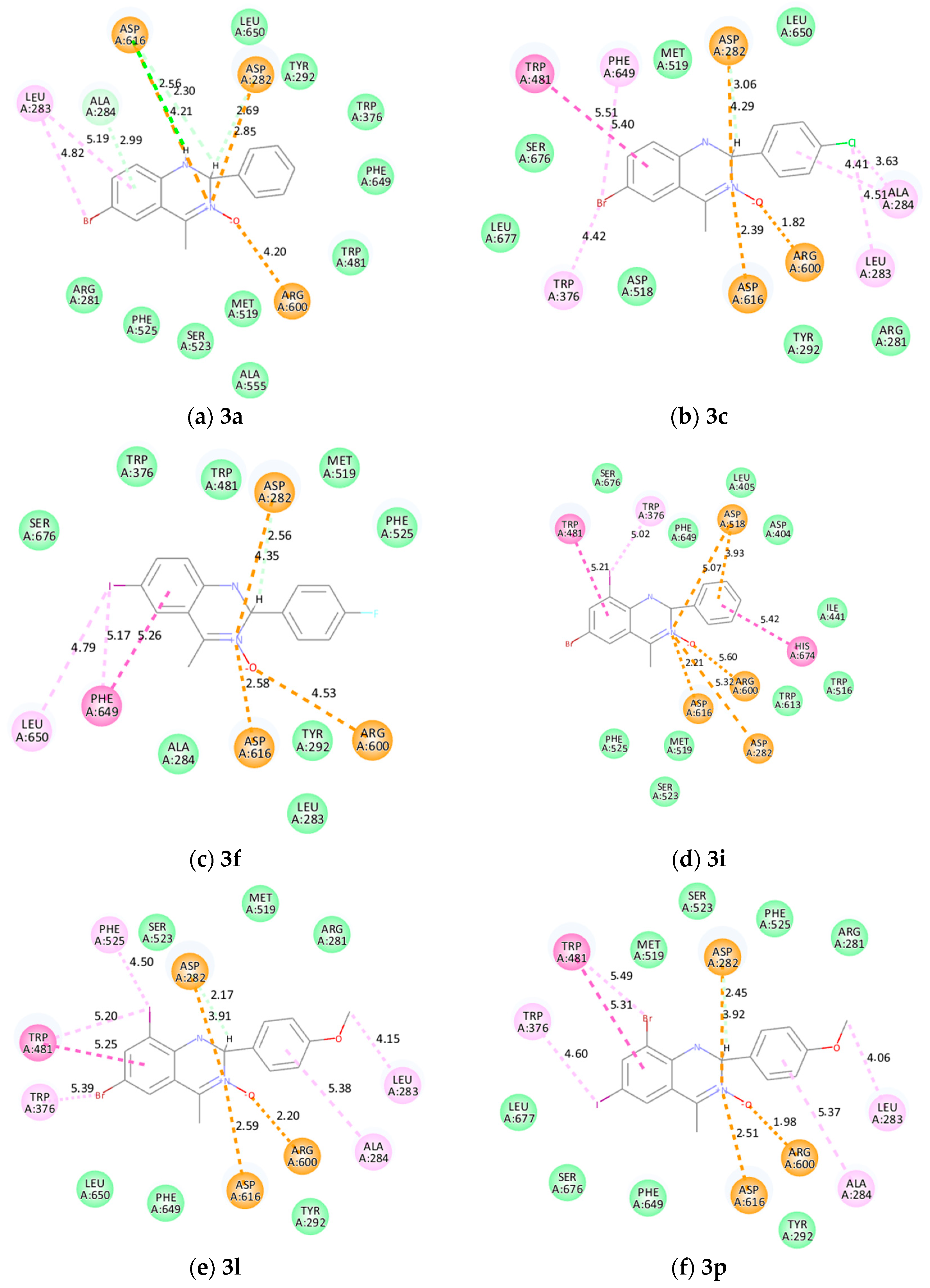 Antioxidants 12 01971 g004