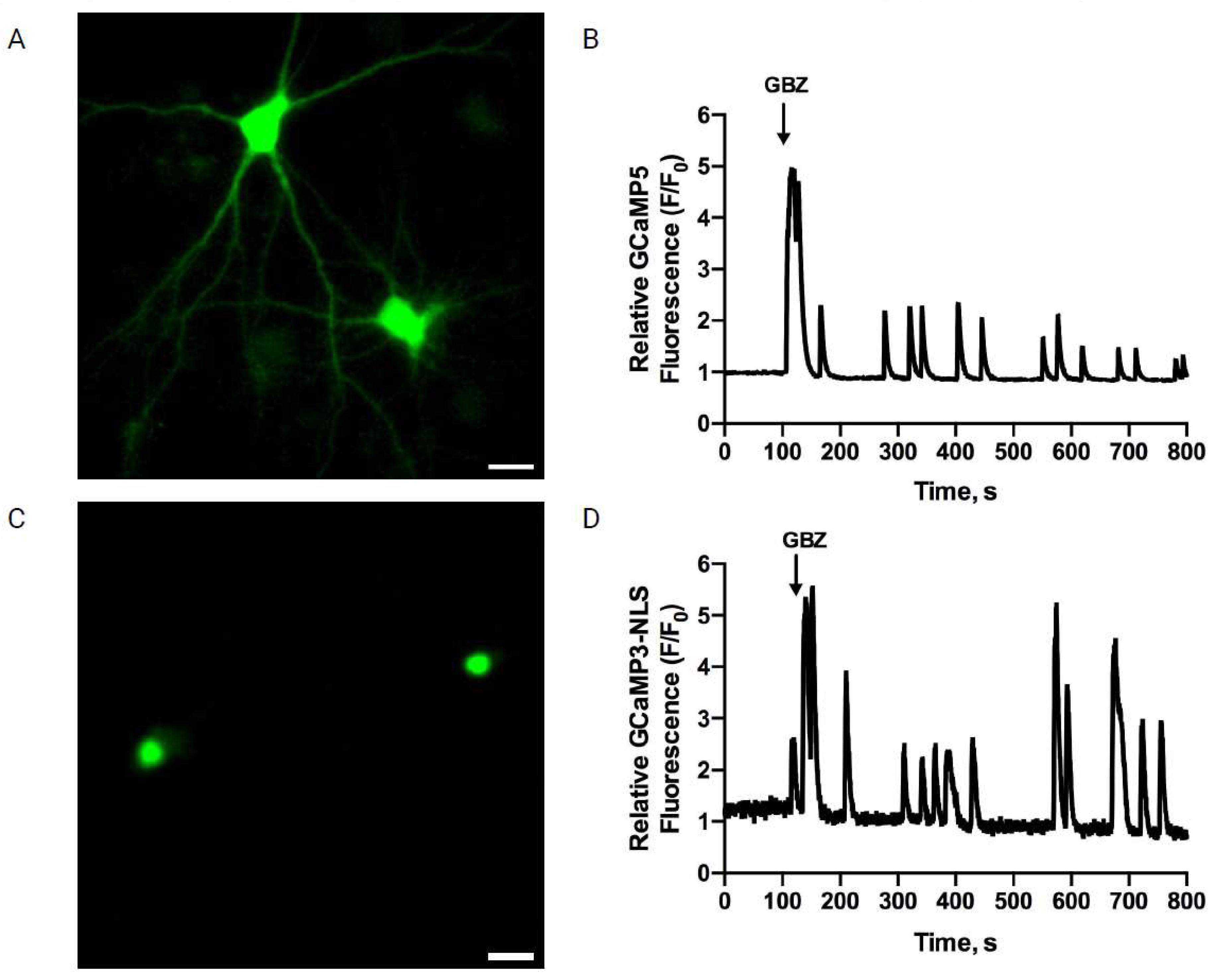 Antioxidants 12 01972 g002