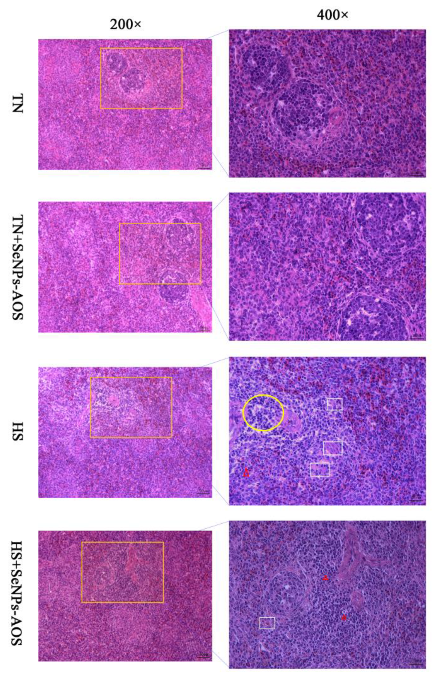 Antioxidants 12 01973 g002