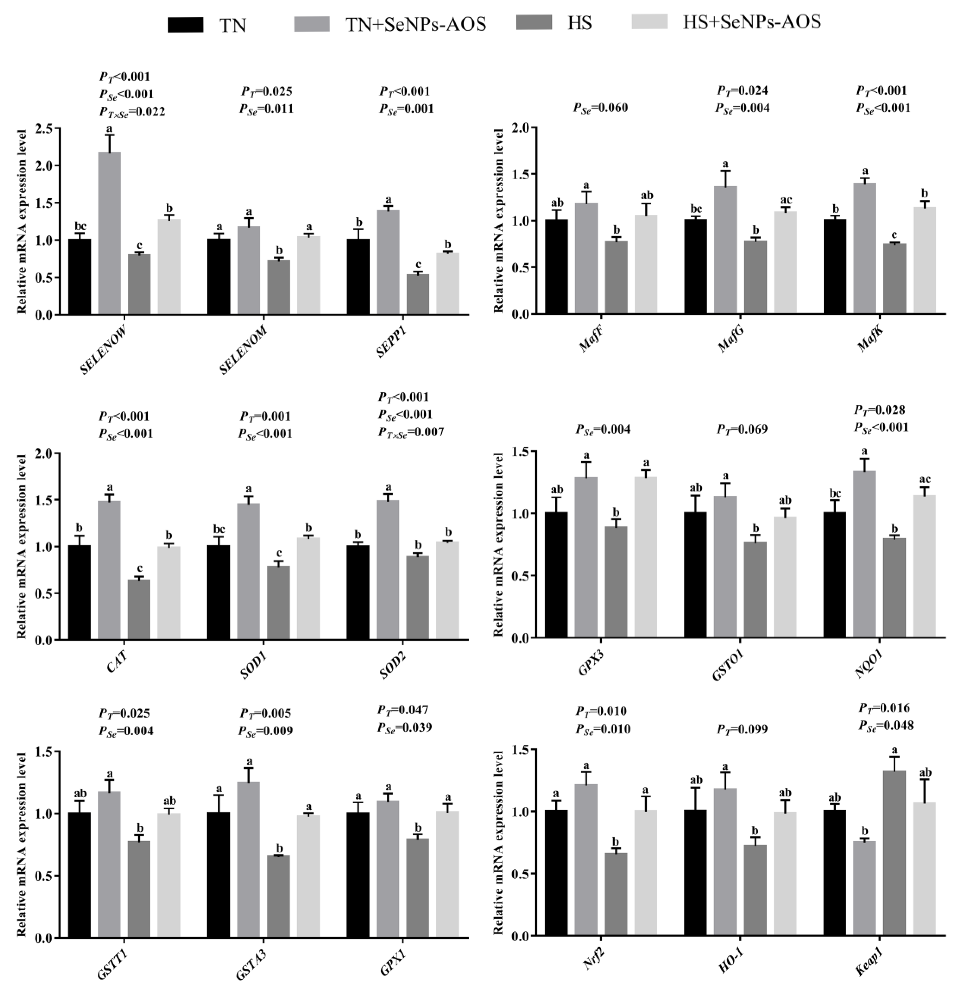 Antioxidants 12 01973 g003