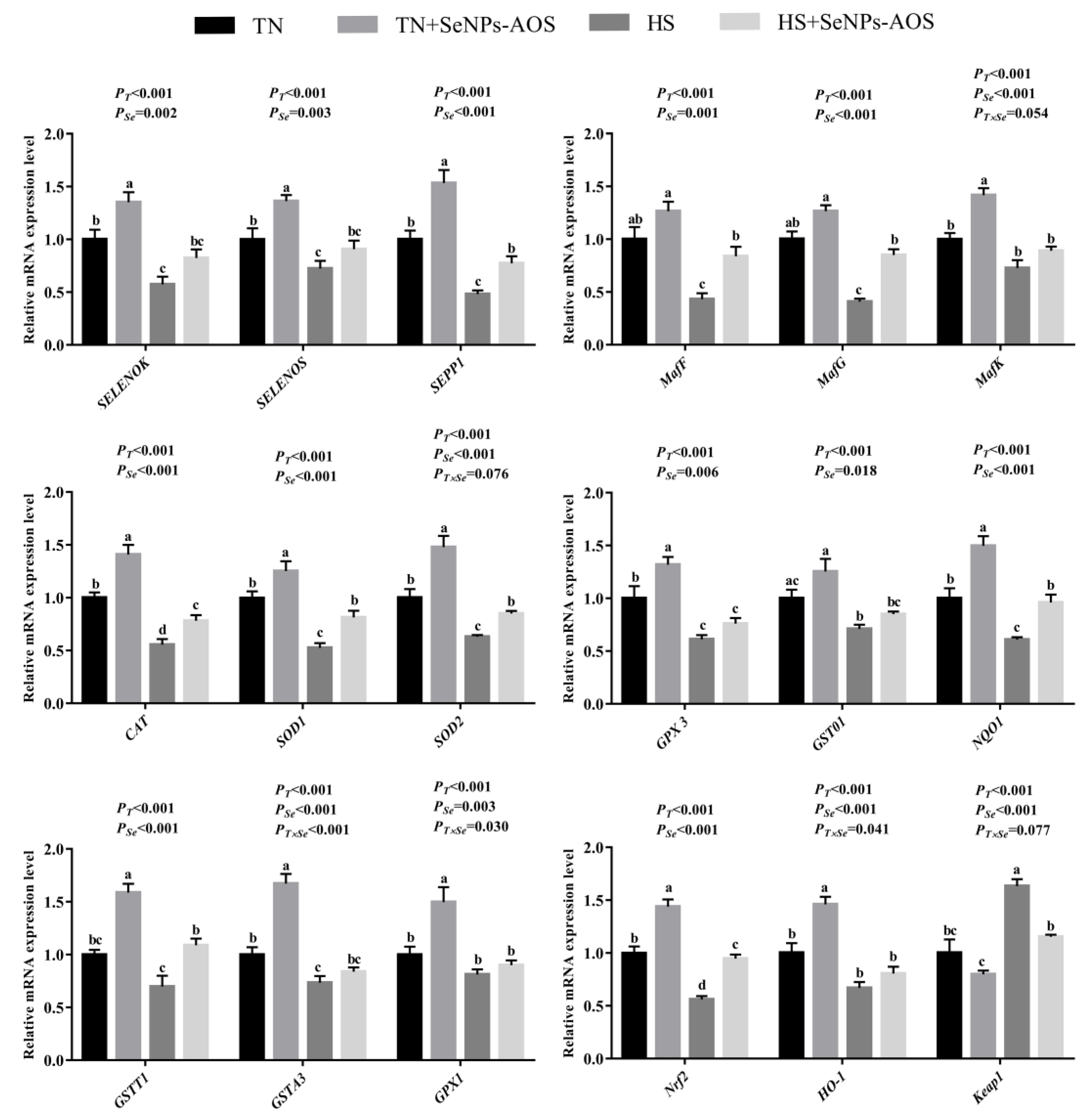 Antioxidants 12 01973 g005