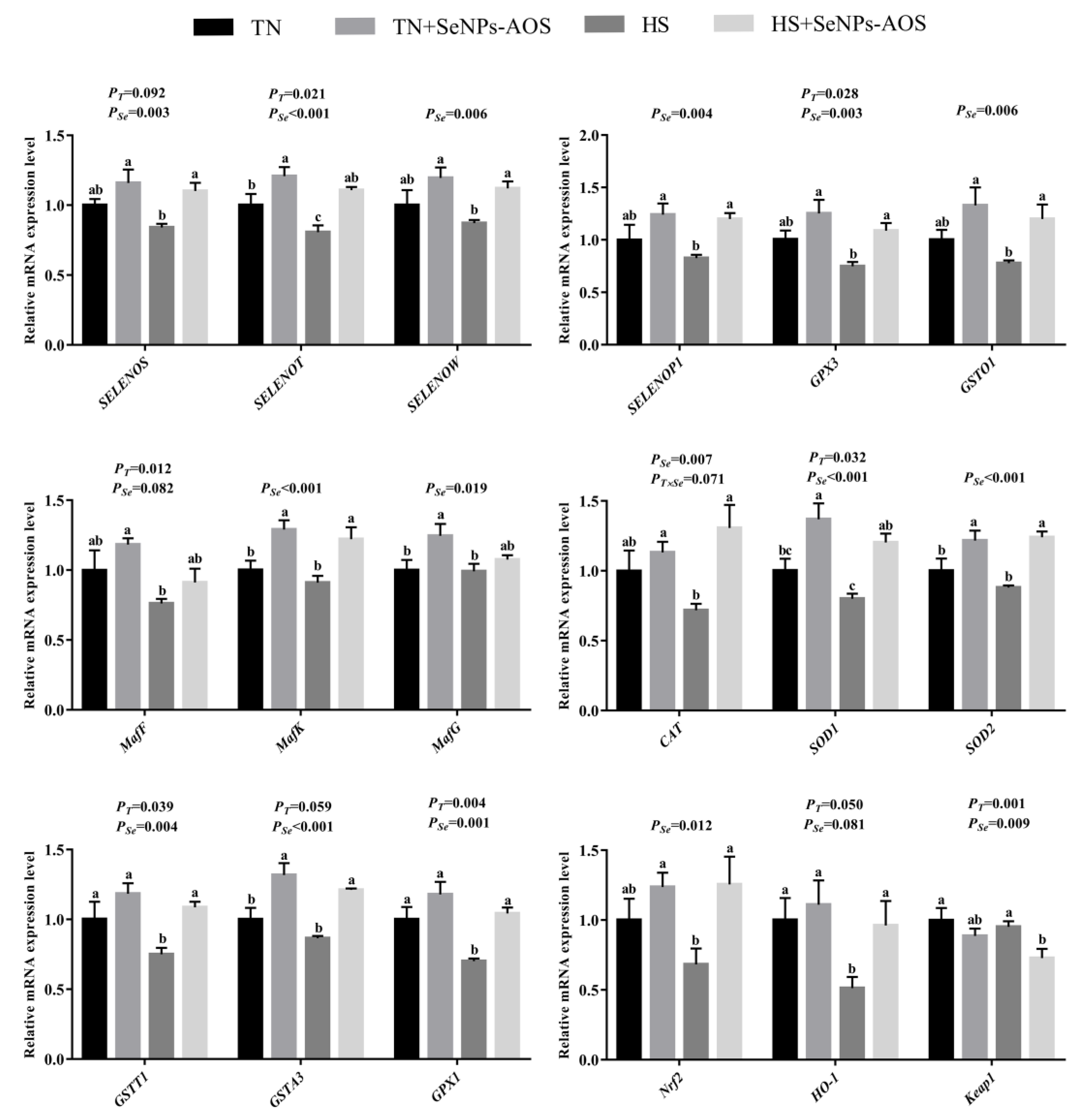 Antioxidants 12 01973 g007